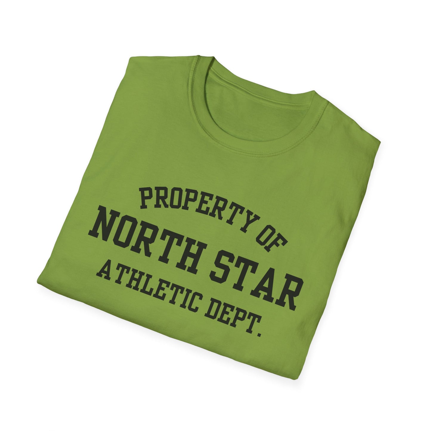North Star Funny City Name T-Shirt quirky town shirt road trip souvenir shirt novelty t-shirt for adults sarcastic graphic tee gift for travelers