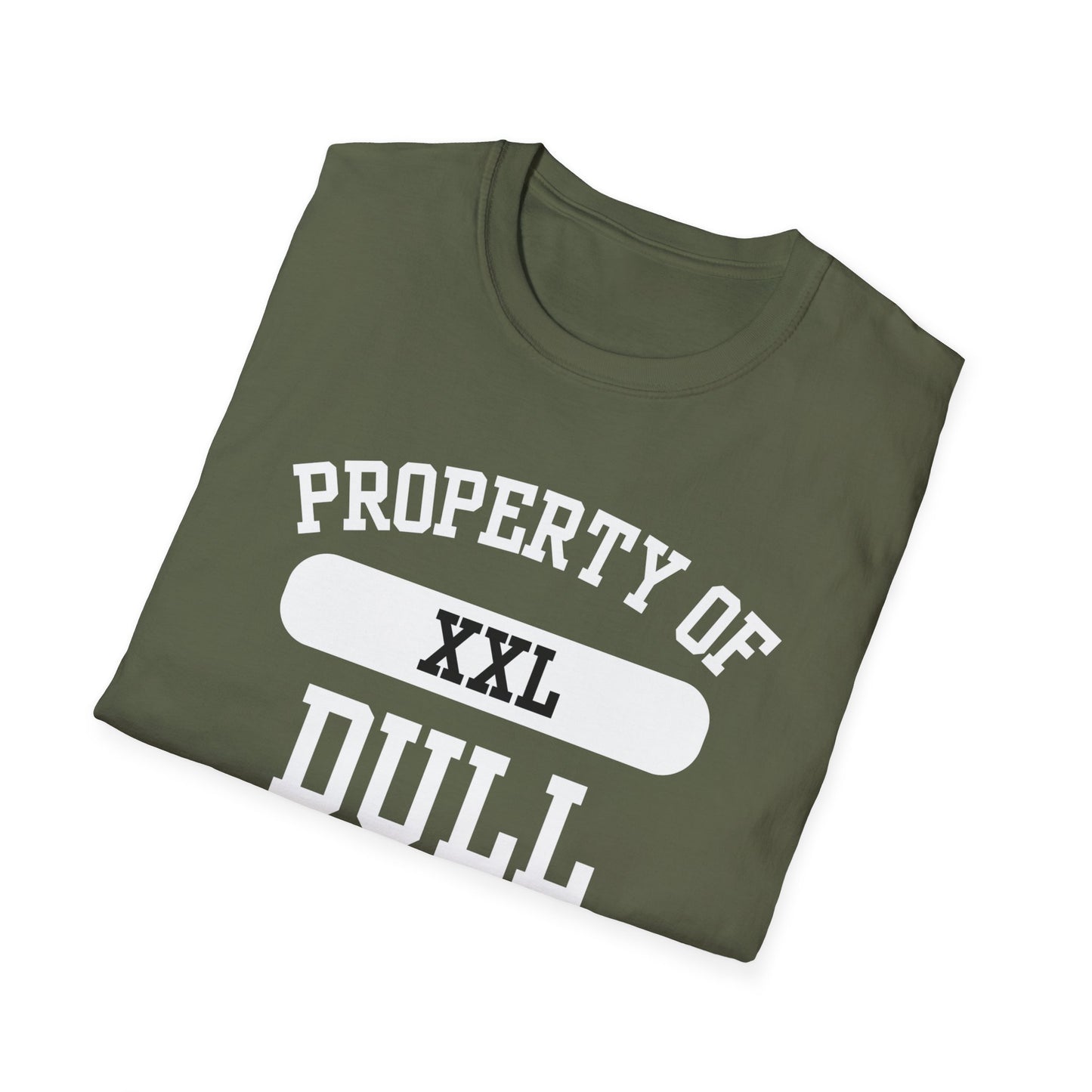 Dull Funny City Name T-Shirt ironic tee novelty t-shirt gag gift tee hometown humor silly town tee small town gift weird town shirt