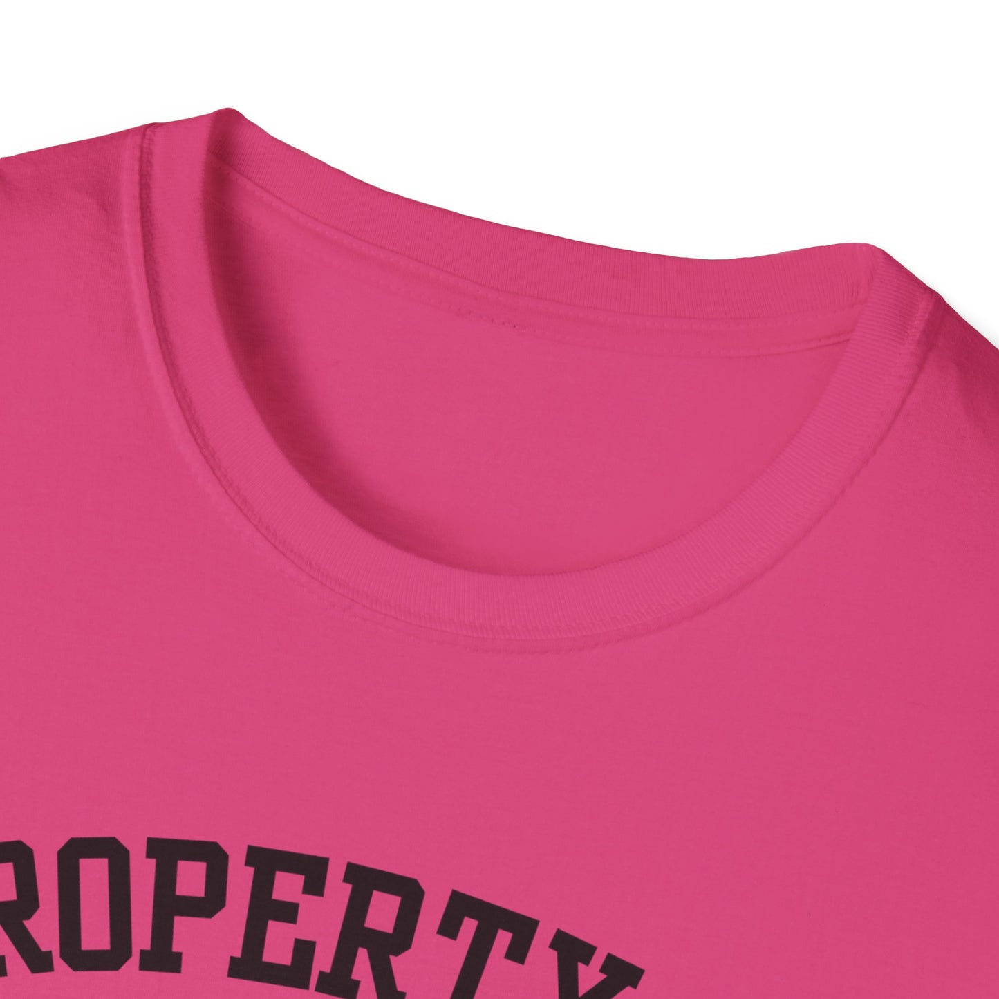 Dull Funny City Name T-Shirt novelty t-shirt sarcastic shirt local pride tee small town gift ironic tee hometown humor quirky place tee