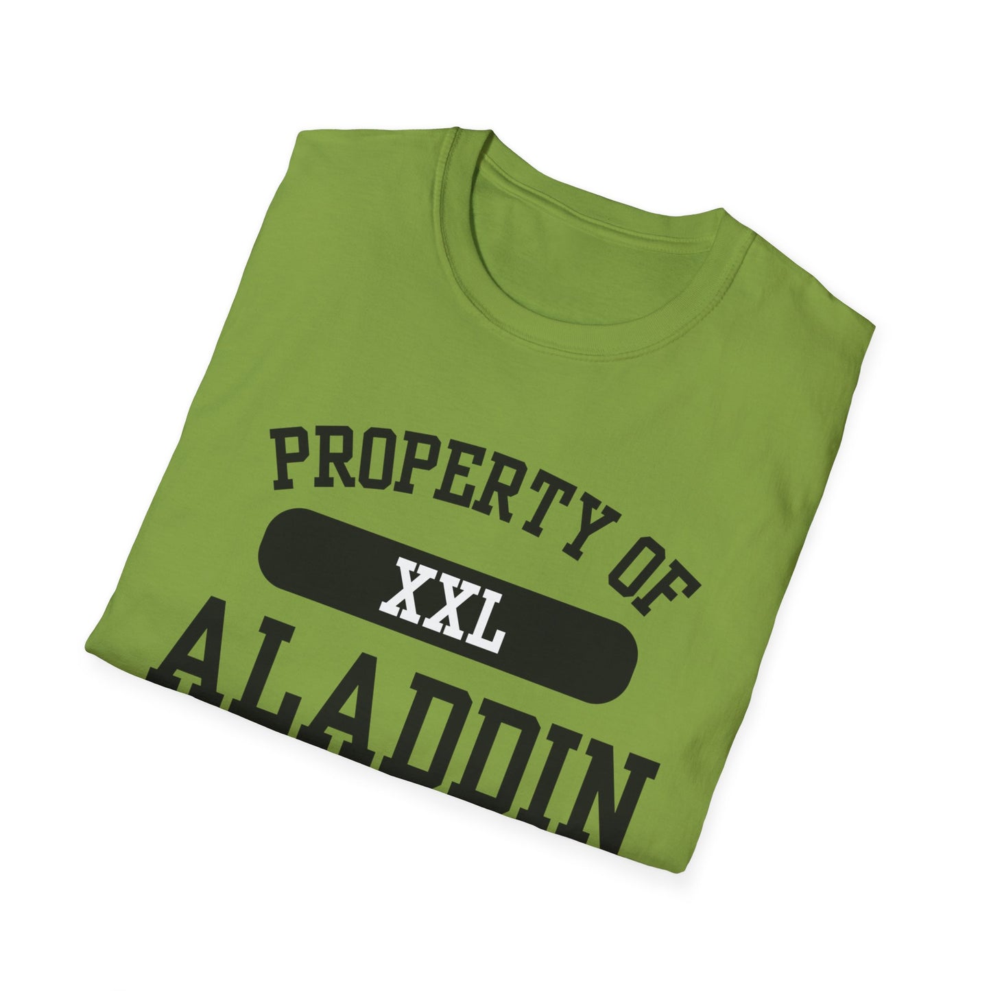 Aladdin Funny City Name T-Shirt retro city name shirt custom city t-shirt funny city name shirt sarcastic graphic tee unisex funny shirt