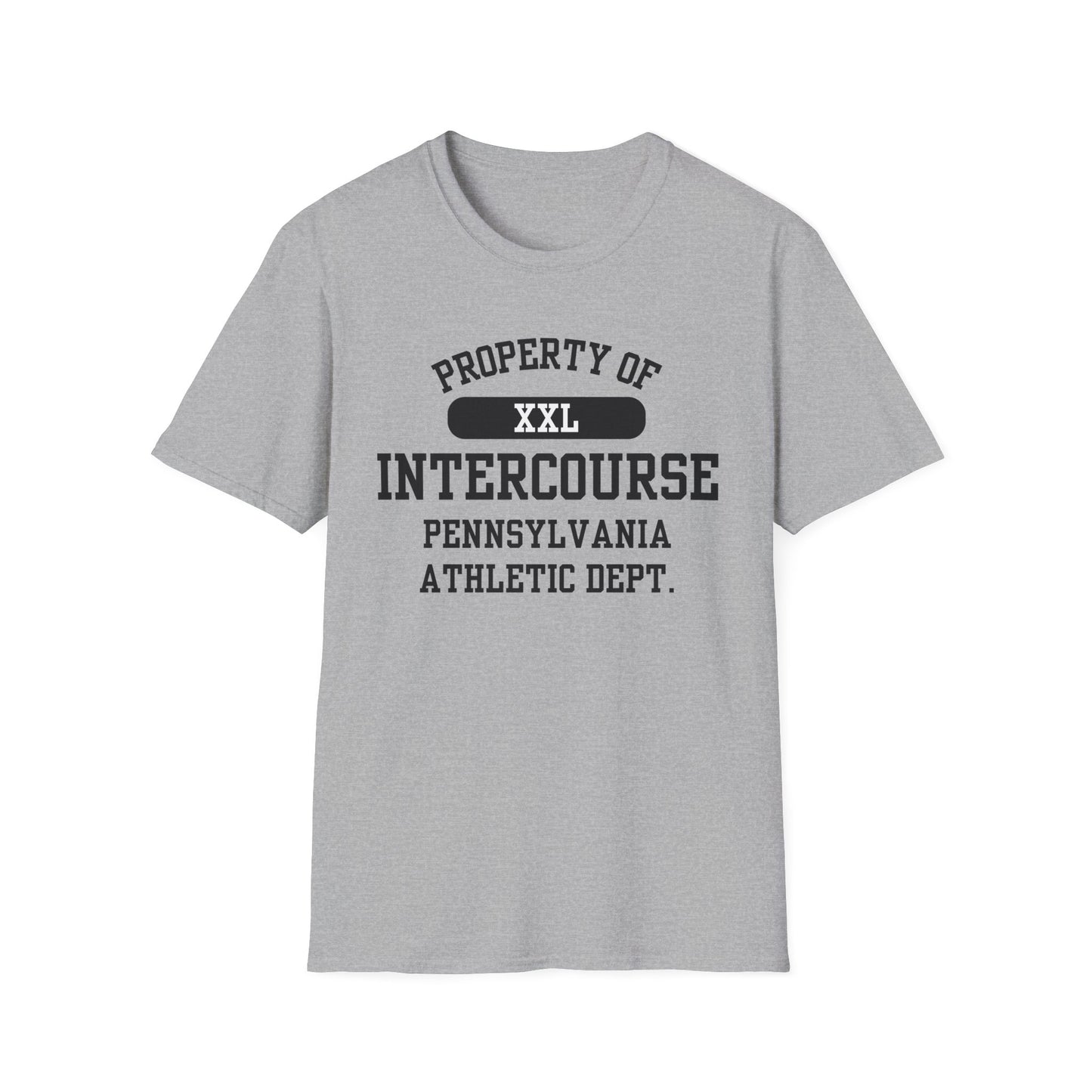 Intercourse Funny City Name T-Shirt sarcastic shirt funny city name local pride tee travel gift tee weird town shirt small town gift