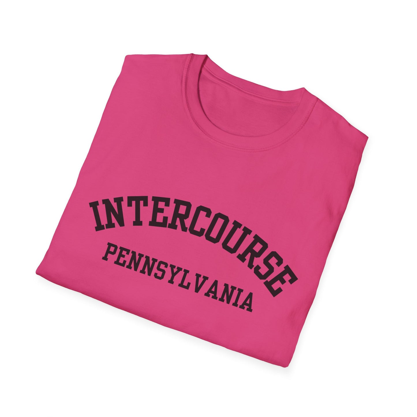 Intercourse Funny City Name T-Shirt novelty t-shirt for adults gift for travelers quirky town shirt funny city name shirt hometown pride shirt