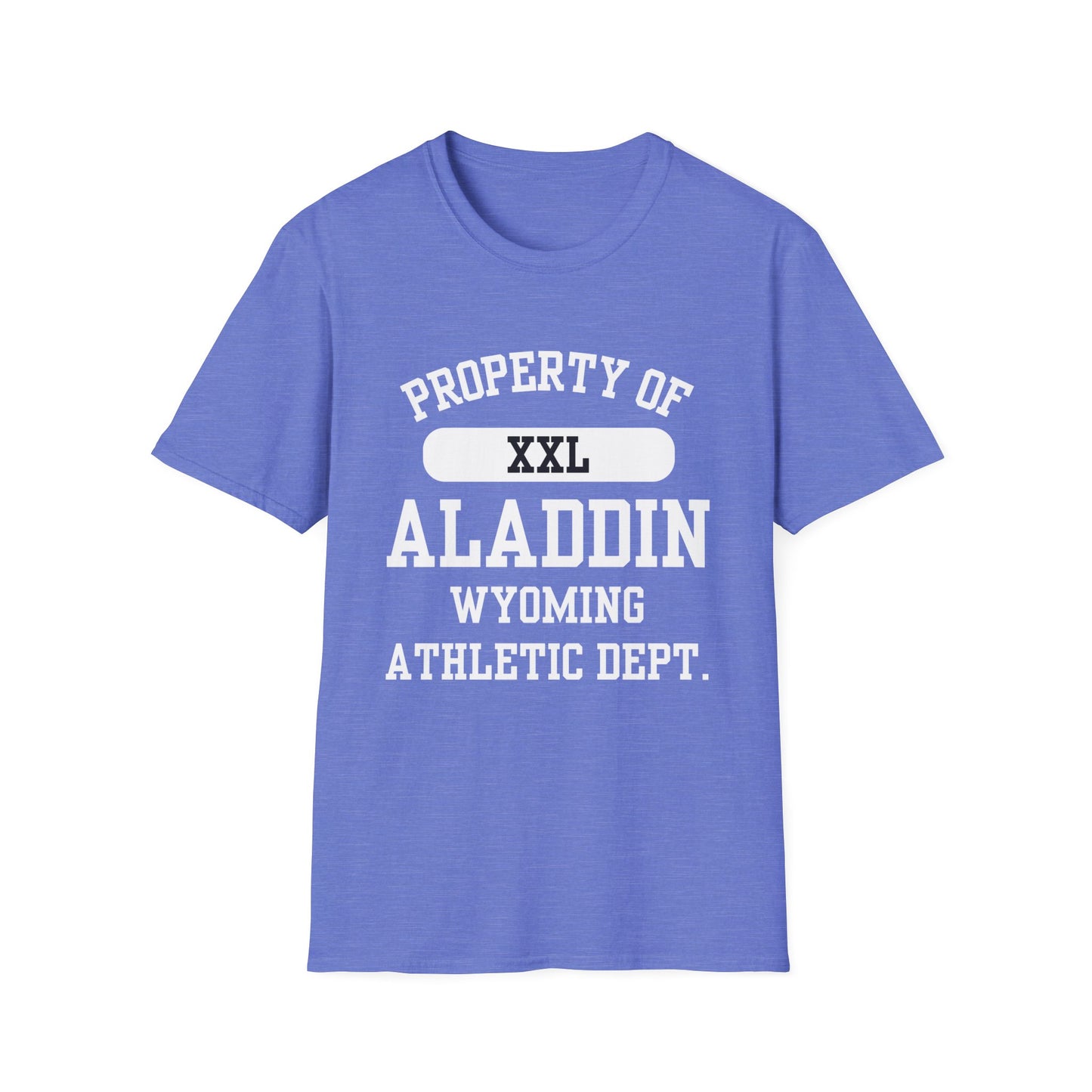 Aladdin Funny City Name T-Shirt ironic tee silly town tee quirky place tee sarcastic shirt travel gift tee funny city name custom city tee
