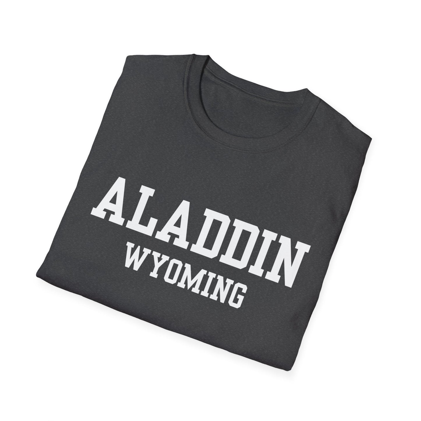 Aladdin Funny City Name T-Shirt silly town tee small town gift hometown humor novelty t-shirt gag gift tee travel gift tee weird town shirt