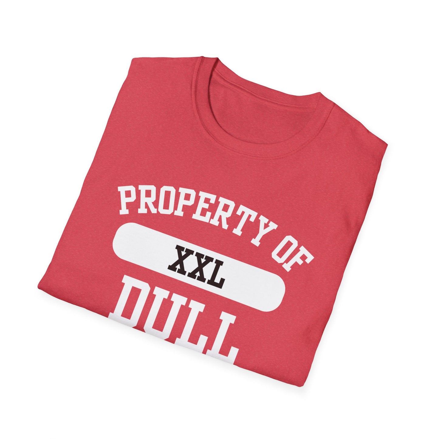 Dull Funny City Name T-Shirt ironic tee novelty t-shirt gag gift tee hometown humor silly town tee small town gift weird town shirt