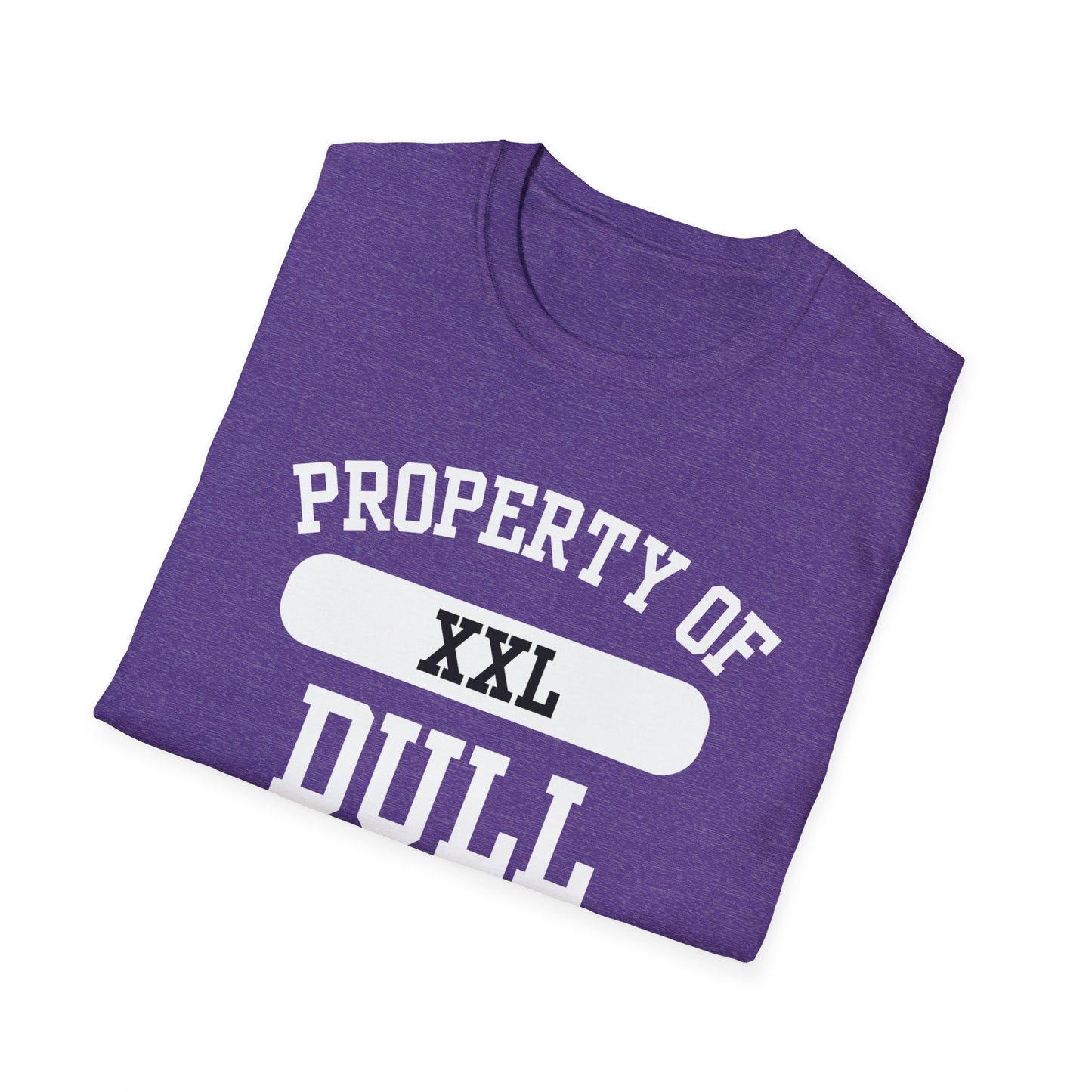 Dull Funny City Name T-Shirt ironic tee novelty t-shirt gag gift tee hometown humor silly town tee small town gift weird town shirt
