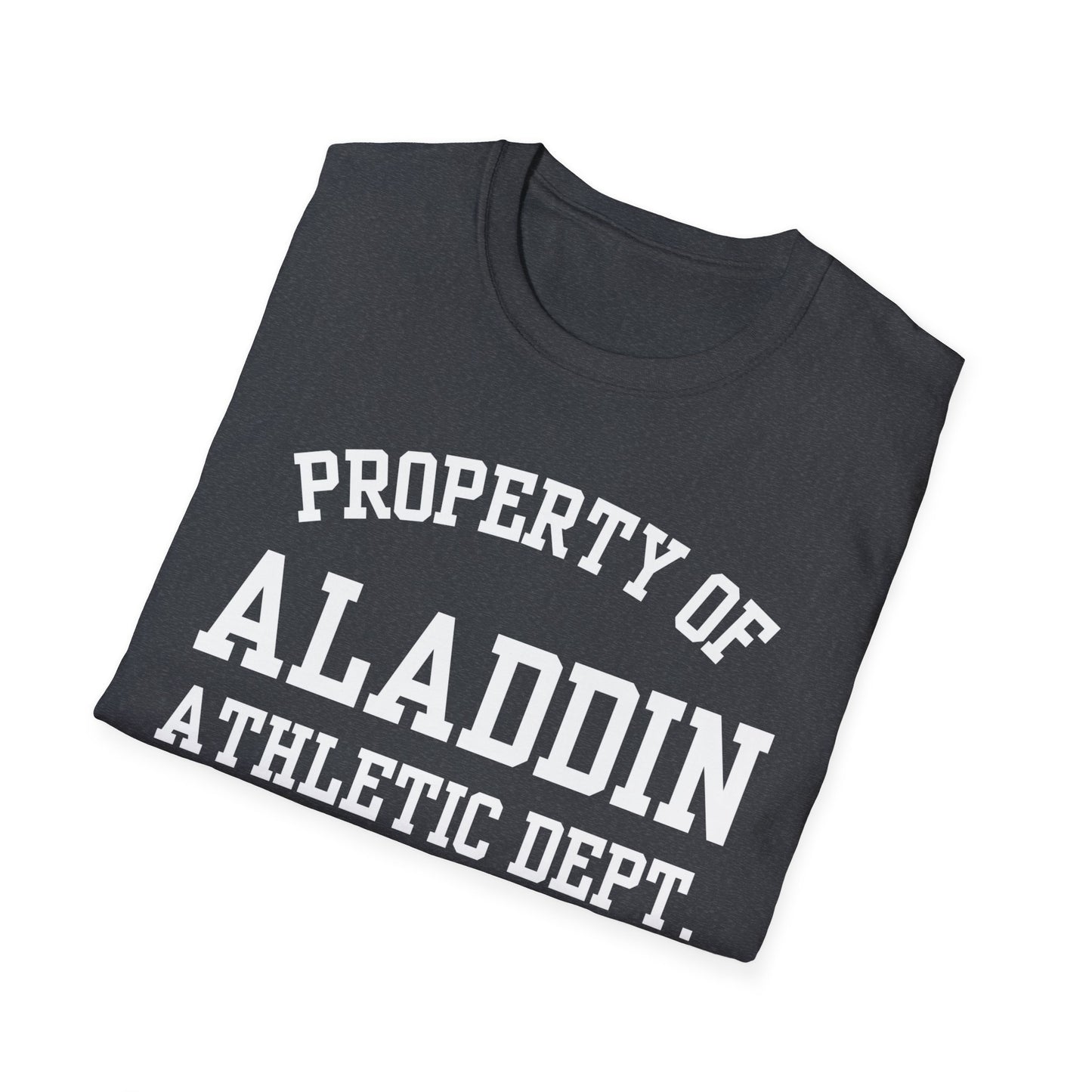 Aladdin Funny City Name T-Shirt novelty t-shirt local pride tee silly town tee custom city tee travel gift tee ironic tee quirky place tee