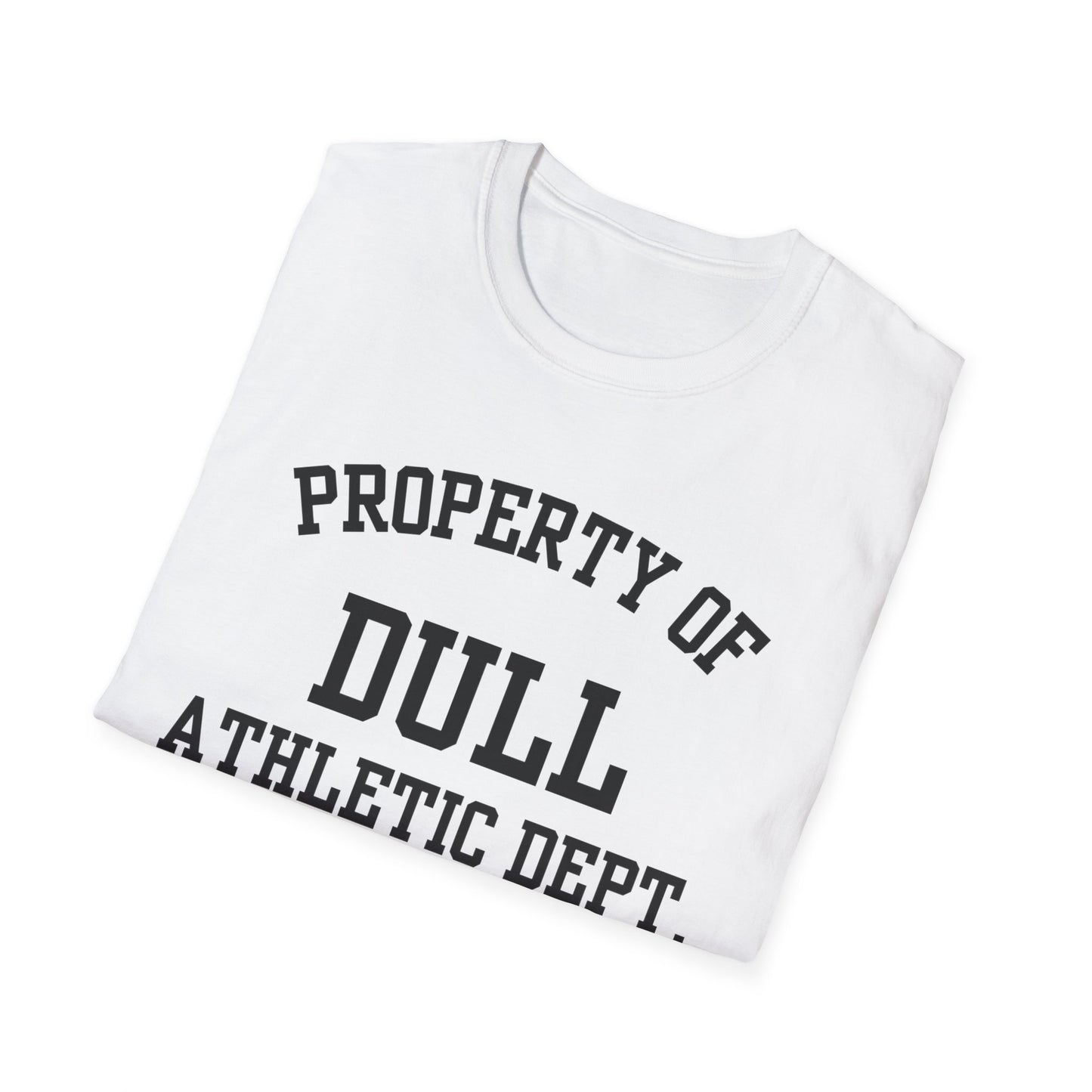 Dull Funny City Name T-Shirt novelty t-shirt sarcastic shirt local pride tee small town gift ironic tee hometown humor quirky place tee