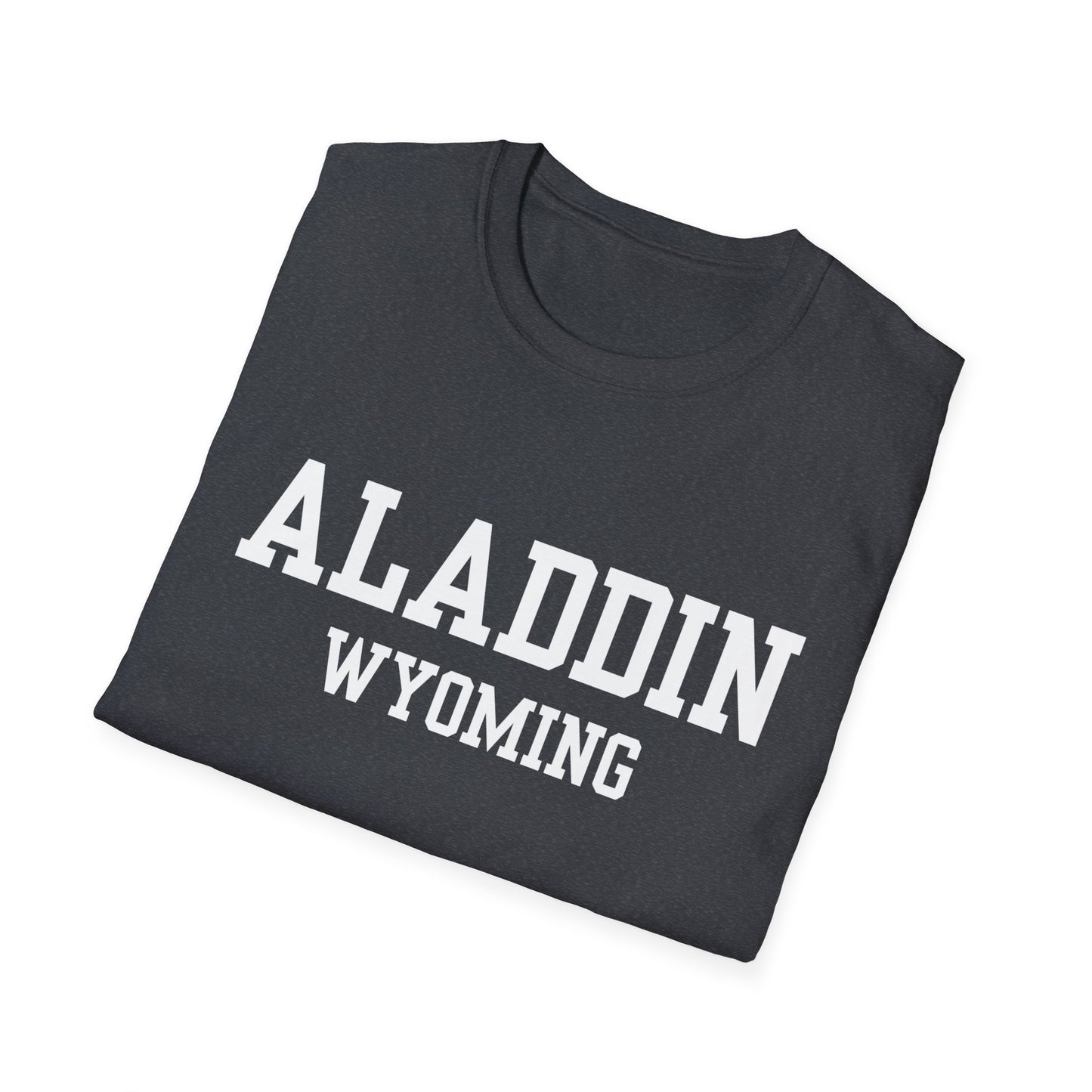 Aladdin Funny City Name T-Shirt silly town tee small town gift hometown humor novelty t-shirt gag gift tee travel gift tee weird town shirt