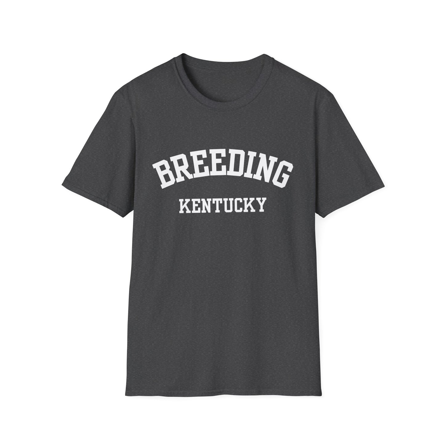 Breeding Funny City Name T-Shirt small town gift silly town tee travel gift tee gag gift tee sarcastic shirt ironic tee hometown humor