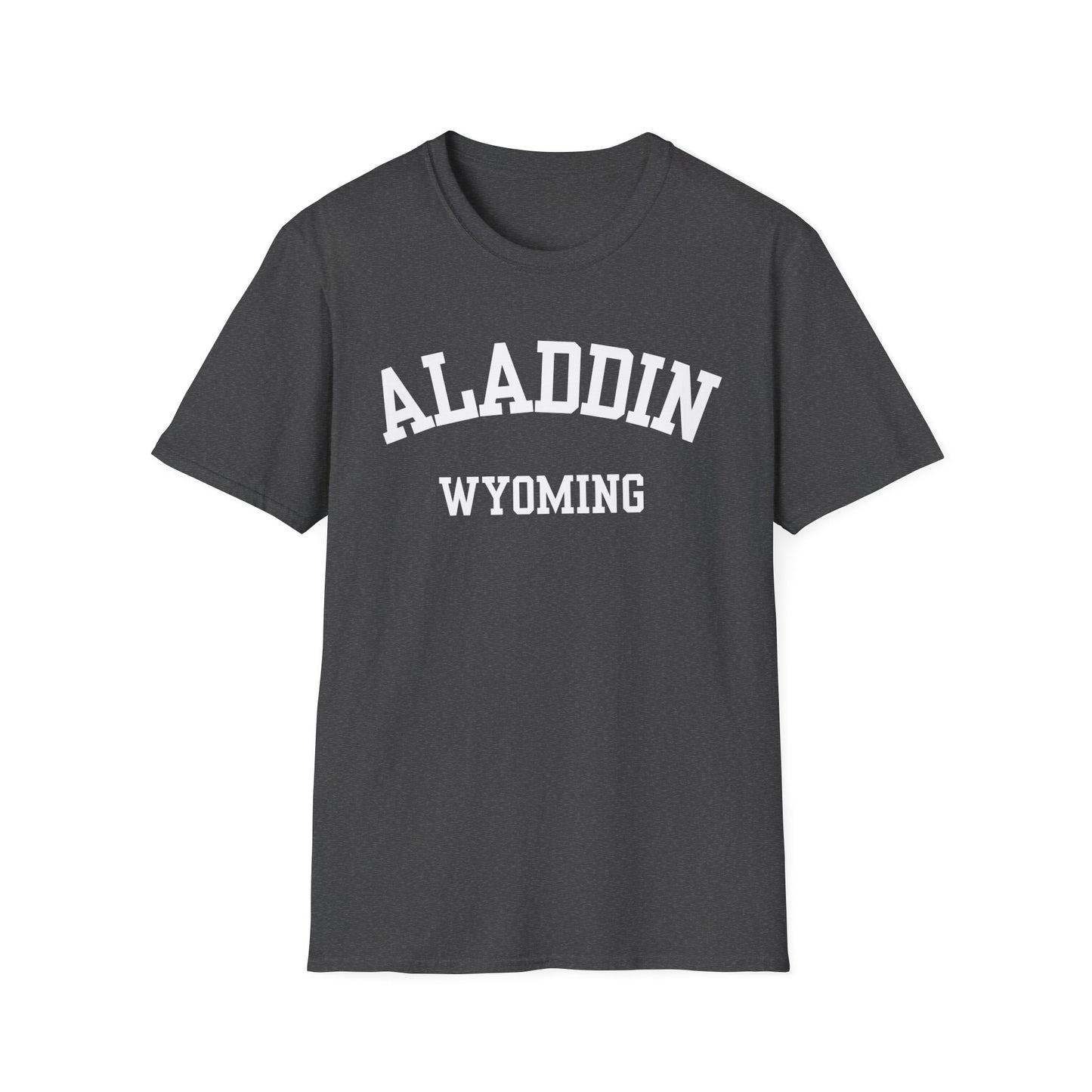 Aladdin Funny City Name T-Shirt weird town shirt silly town tee quirky place tee custom city tee sarcastic shirt travel gift tee