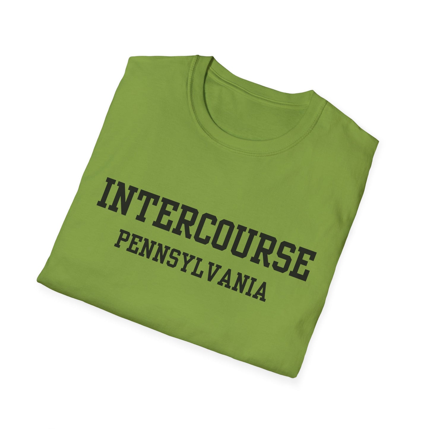 Intercourse Funny City Name T-Shirt gift for travelers unisex funny shirt hometown pride shirt retro city name shirt sarcastic graphic tee