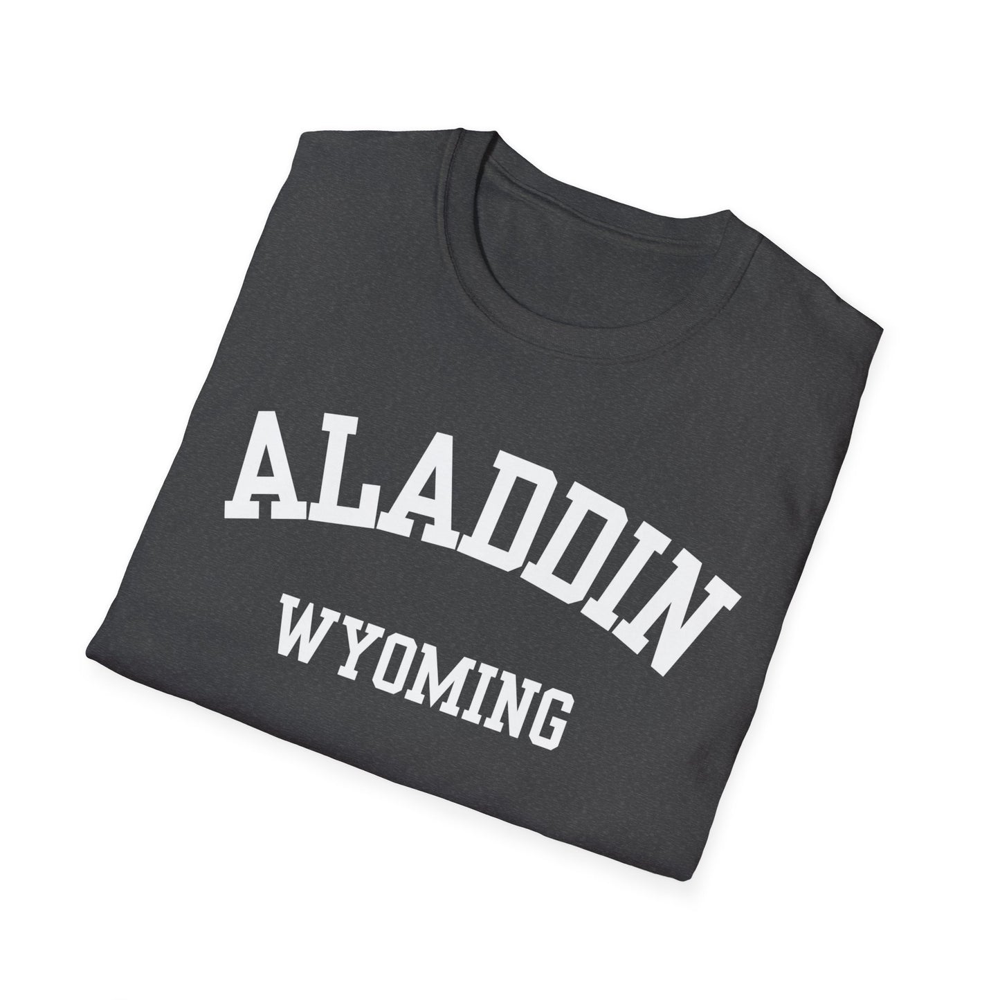 Aladdin Funny City Name T-Shirt weird town shirt silly town tee quirky place tee custom city tee sarcastic shirt travel gift tee