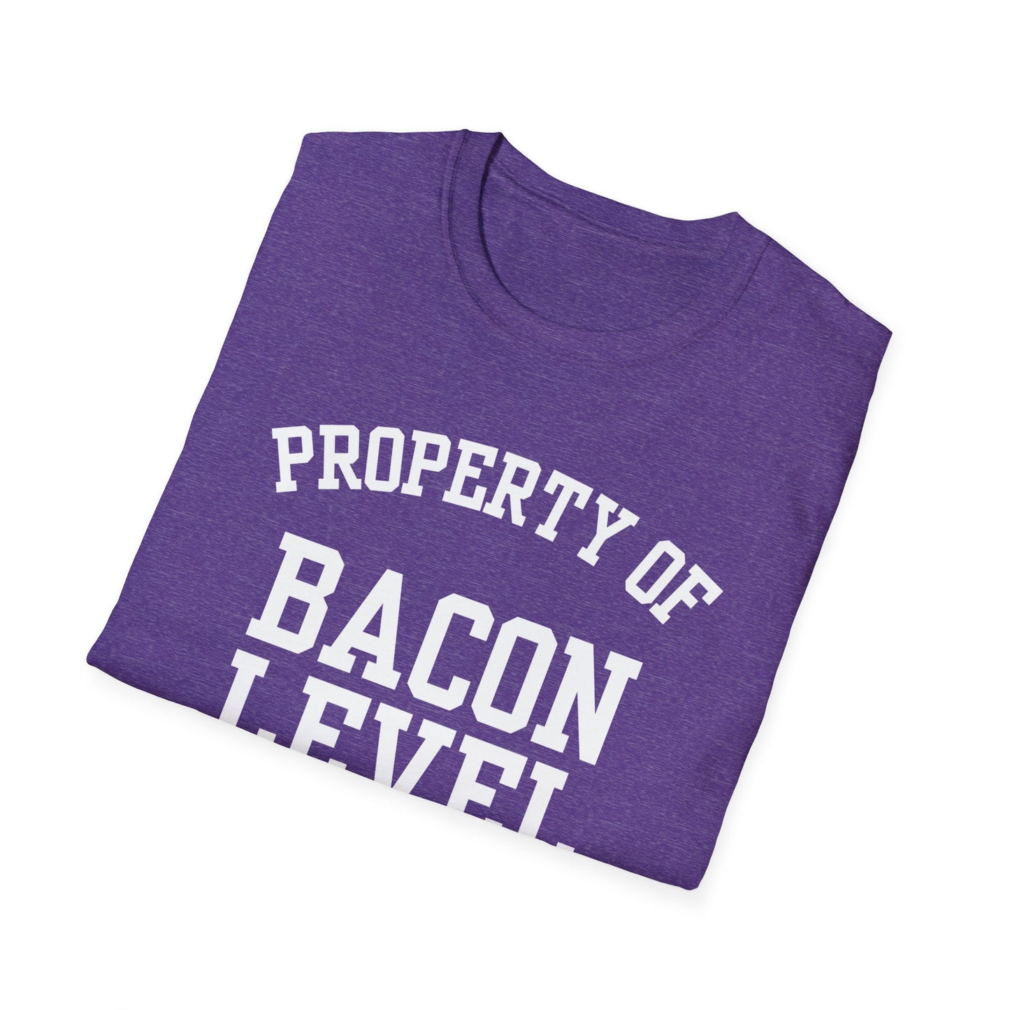 Bacon Level Funny City Name T-Shirt ironic tee quirky place tee local pride tee travel gift tee hometown humor novelty t-shirt small town gift