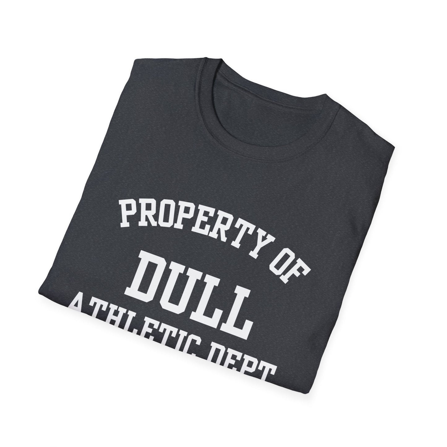 Dull Funny City Name T-Shirt quirky place tee novelty t-shirt custom city tee small town gift sarcastic shirt ironic tee gag gift tee