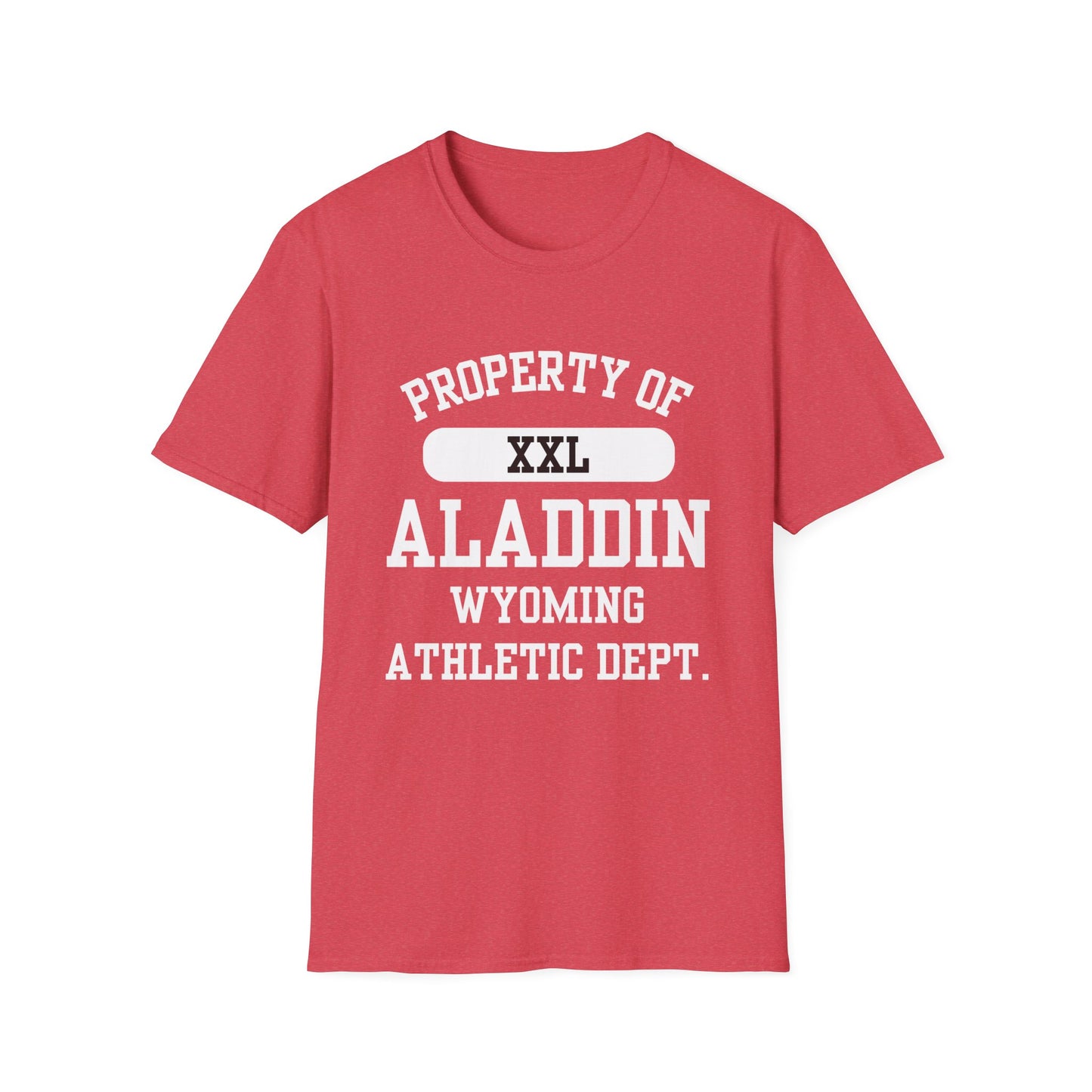 Aladdin Funny City Name T-Shirt ironic tee silly town tee quirky place tee sarcastic shirt travel gift tee funny city name custom city tee