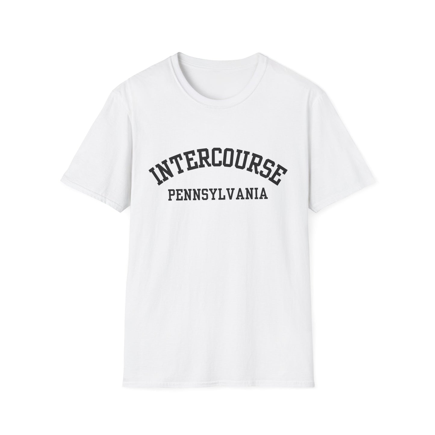 Intercourse Funny City Name T-Shirt novelty t-shirt for adults gift for travelers quirky town shirt funny city name shirt hometown pride shirt