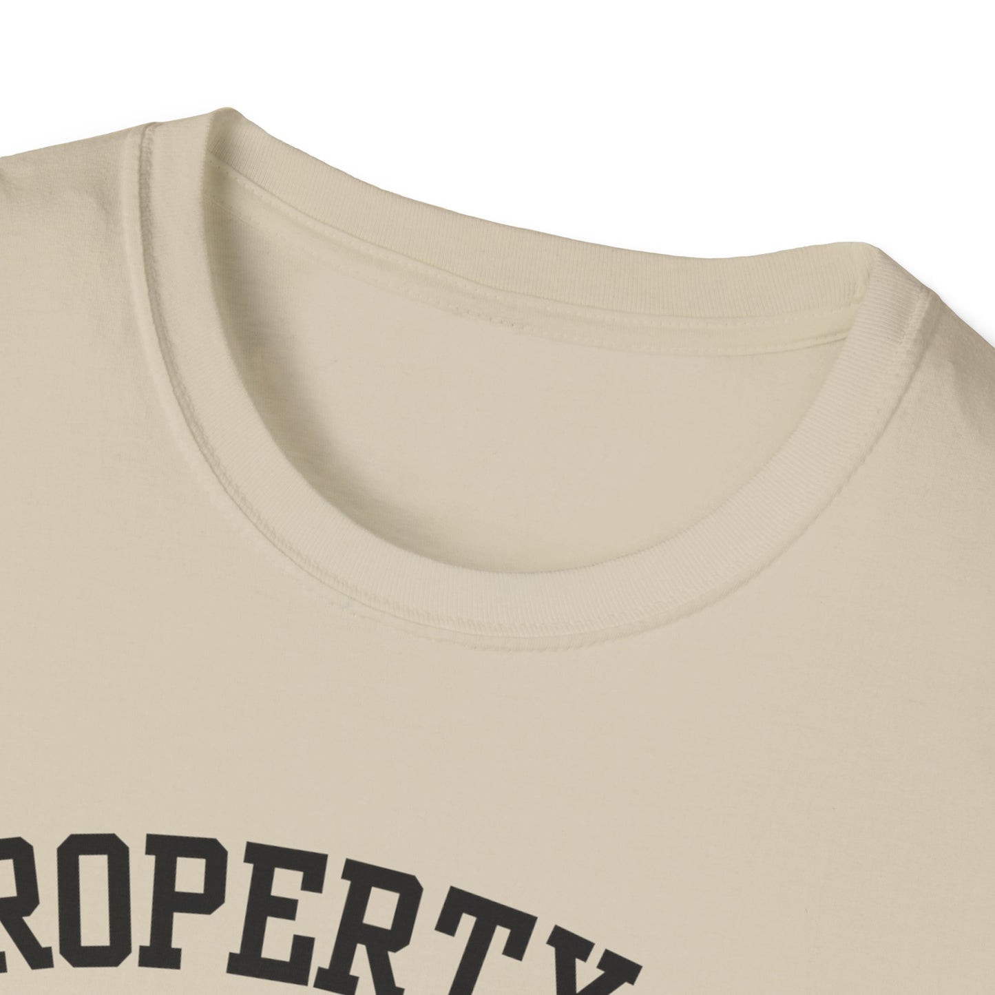 Dull Funny City Name T-Shirt novelty t-shirt sarcastic shirt local pride tee small town gift ironic tee hometown humor quirky place tee