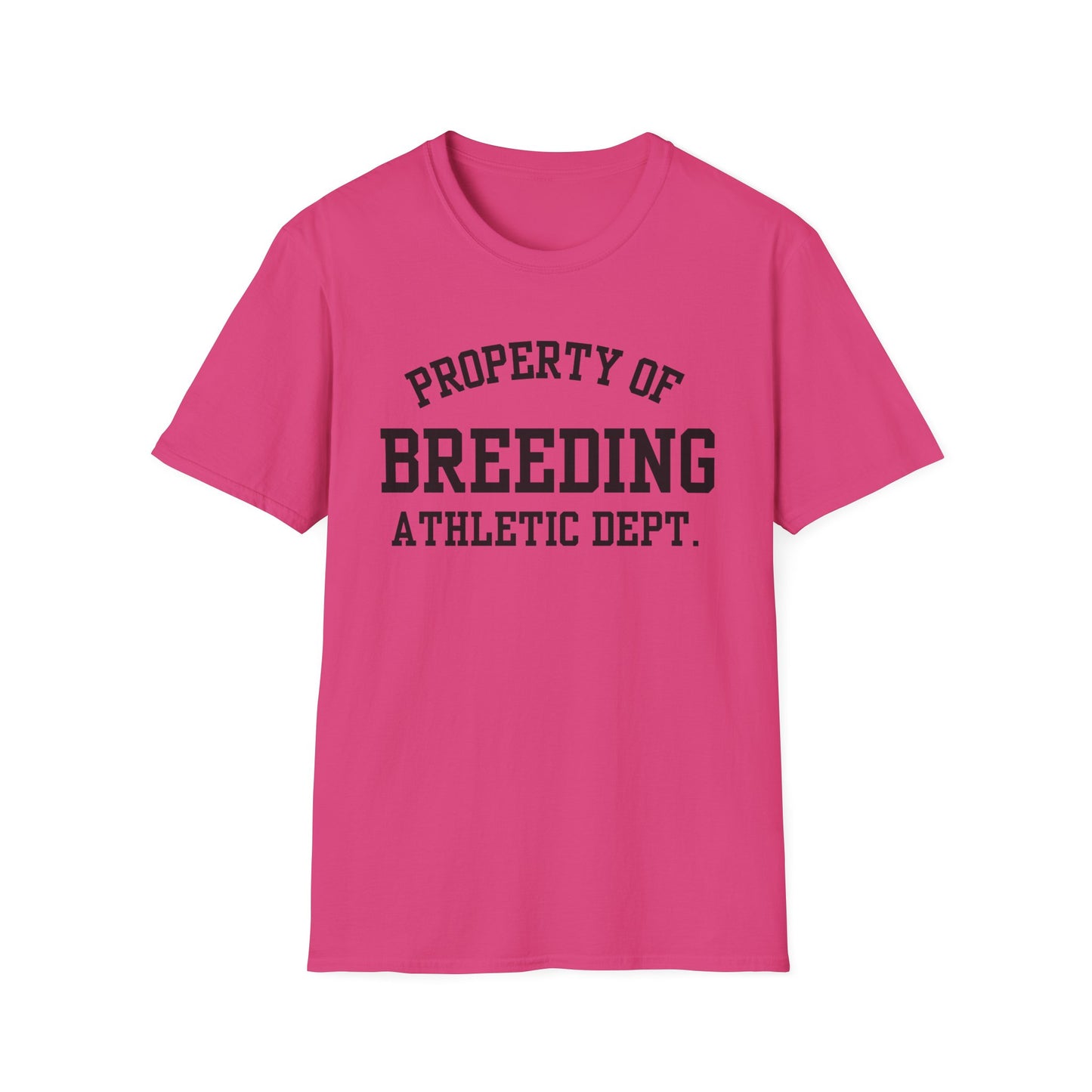 Breeding Funny City Name T-Shirt novelty t-shirt for adults gift for travelers road trip souvenir shirt funny city name shirt hometown pride shirt