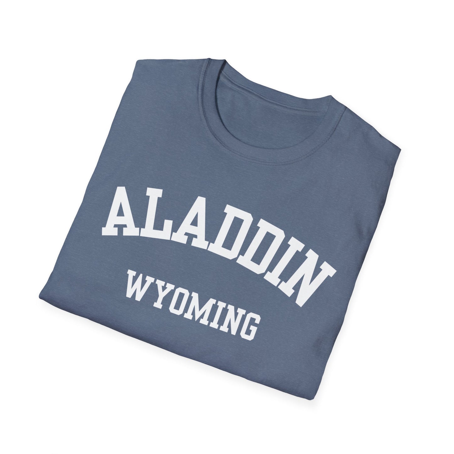 Aladdin Funny City Name T-Shirt weird town shirt silly town tee quirky place tee custom city tee sarcastic shirt travel gift tee