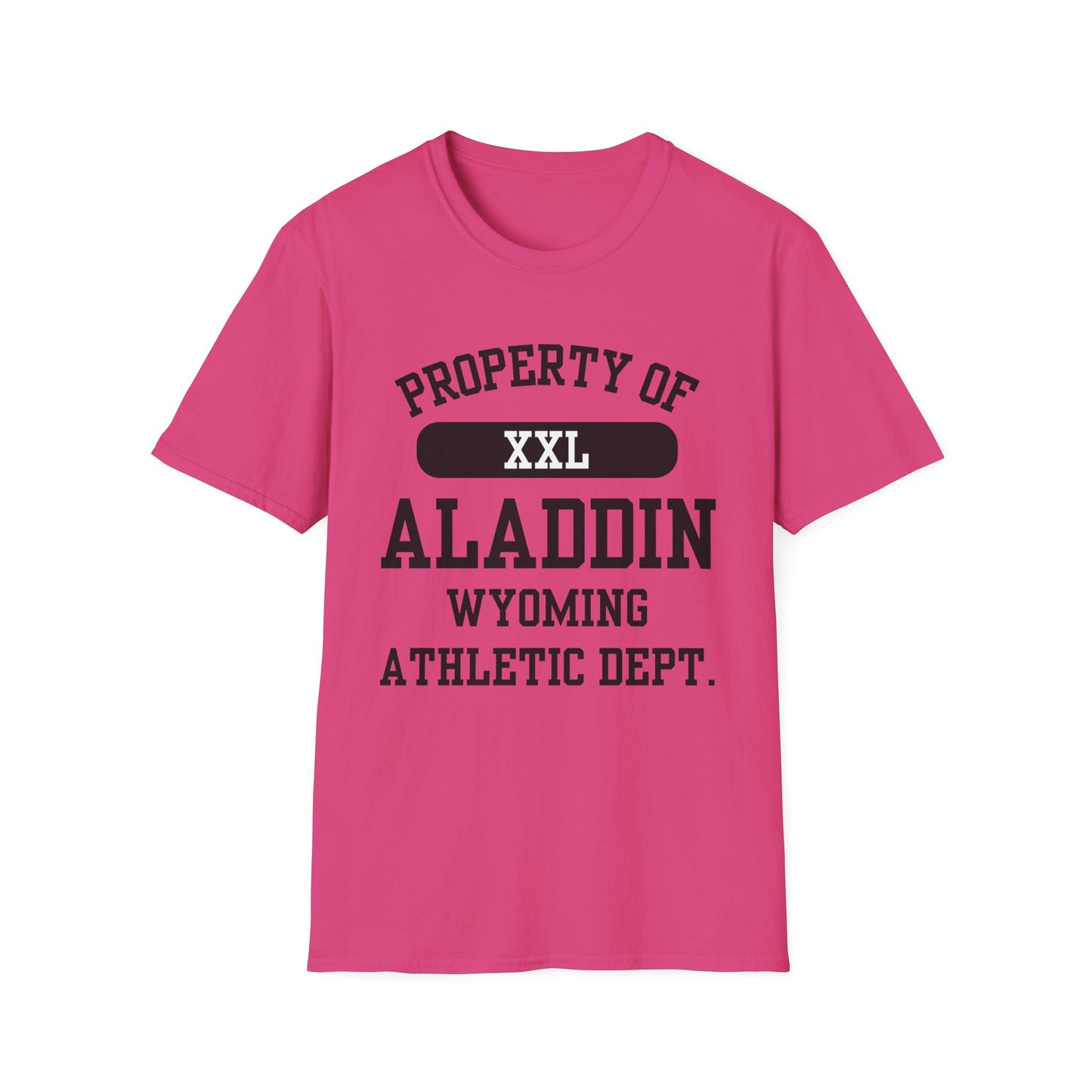 Aladdin Funny City Name T-Shirt retro city name shirt custom city t-shirt funny city name shirt sarcastic graphic tee unisex funny shirt