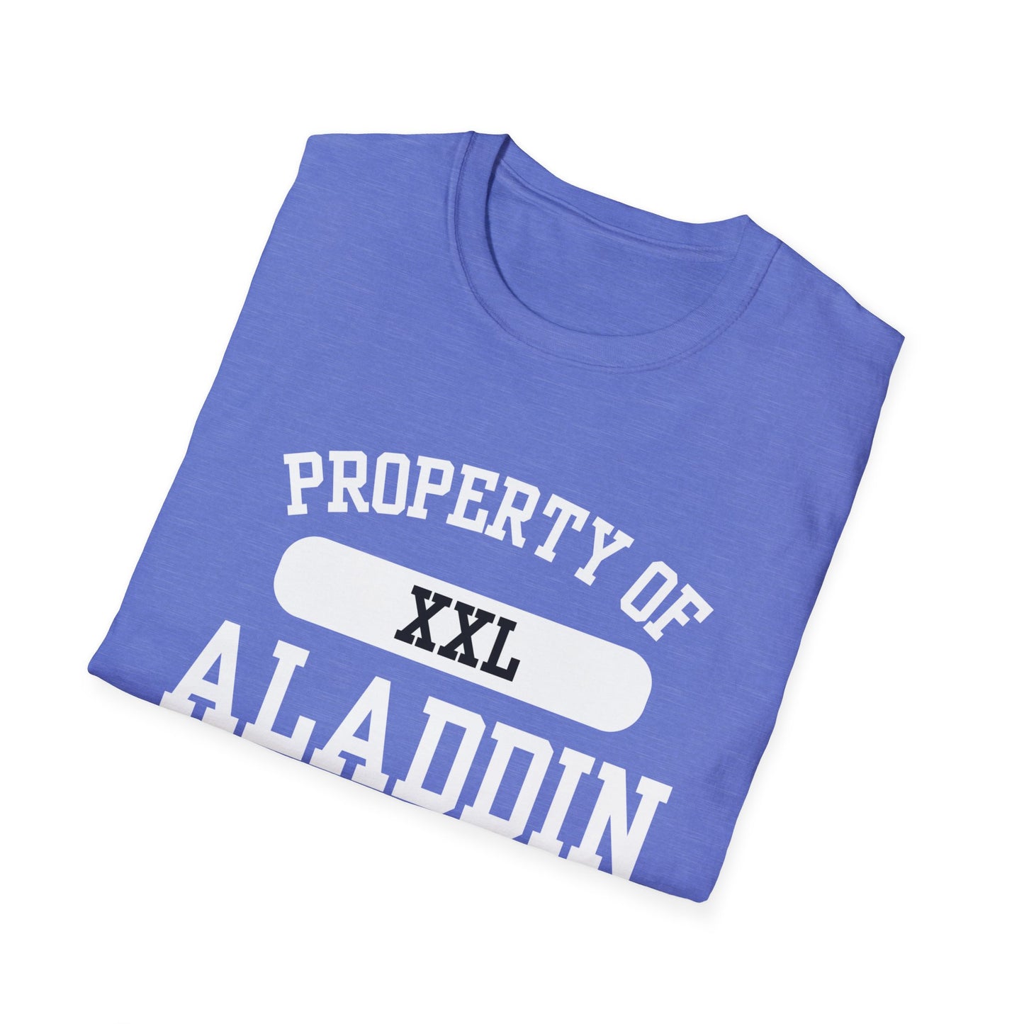 Aladdin Funny City Name T-Shirt ironic tee silly town tee quirky place tee sarcastic shirt travel gift tee funny city name custom city tee