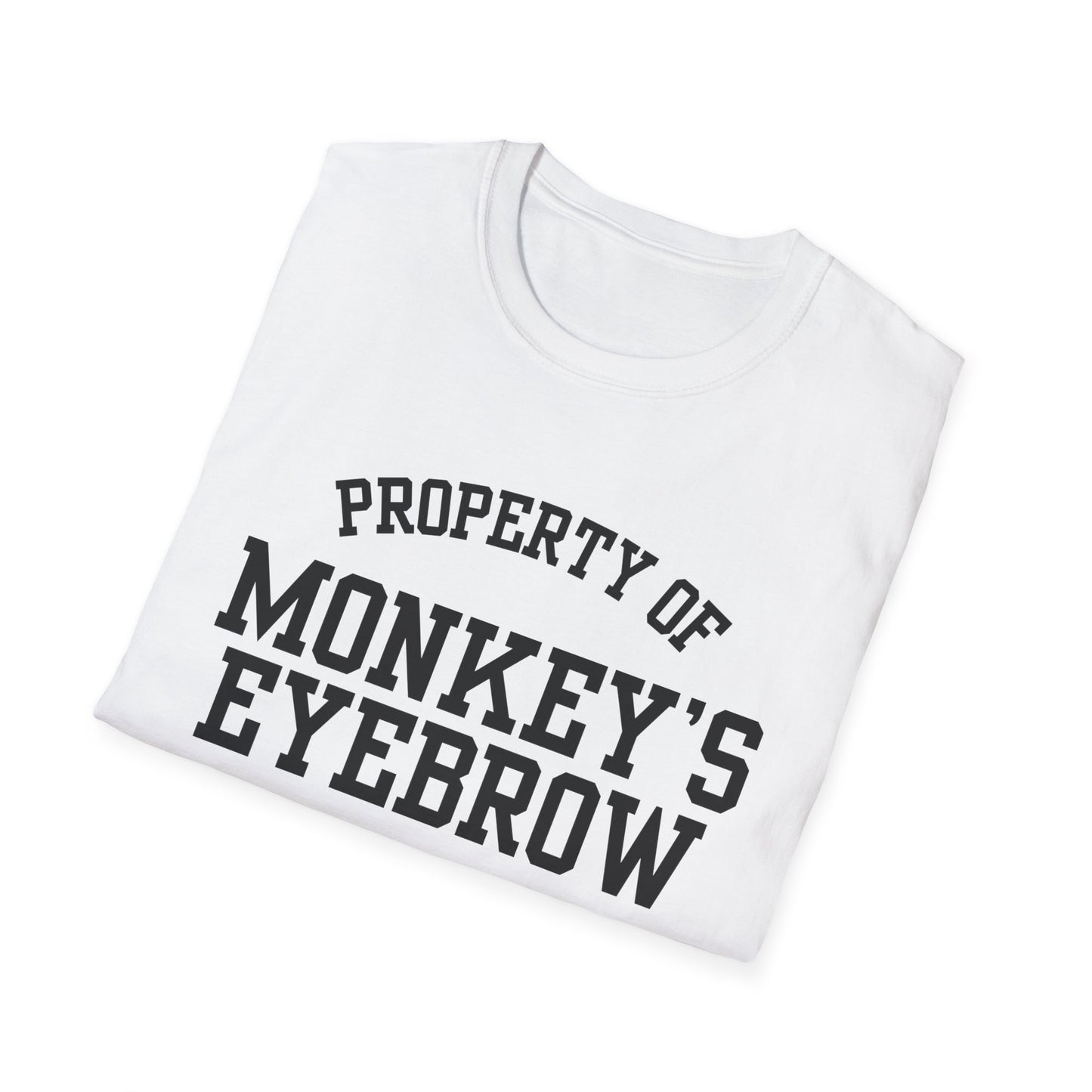 Monkey's Eyebrow Funny City Name T-Shirt sarcastic graphic tee hometown pride shirt retro city name shirt funny city name shirt gift for travelers