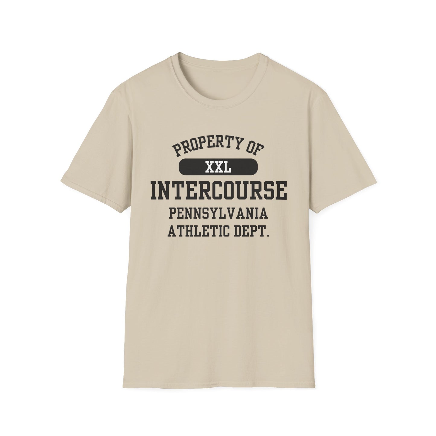 Intercourse Funny City Name T-Shirt sarcastic shirt funny city name local pride tee travel gift tee weird town shirt small town gift