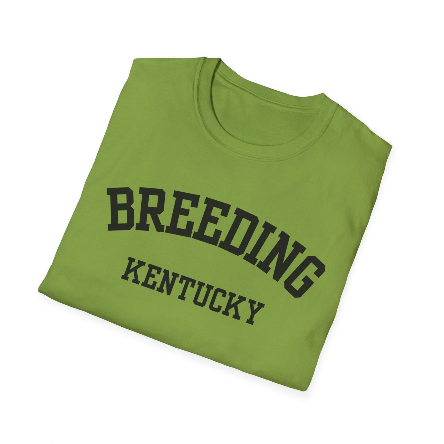 Breeding Funny City Name T-Shirt ironic tee gag gift tee small town gift novelty t-shirt quirky place tee hometown humor travel gift tee