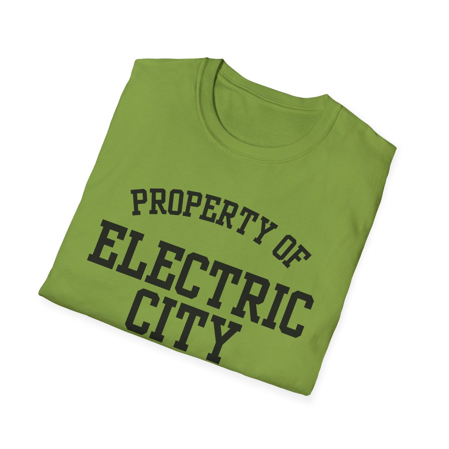 Electric City Funny City Name T-Shirt hometown pride shirt quirky town shirt funny city name shirt unisex funny shirt retro city name shirt