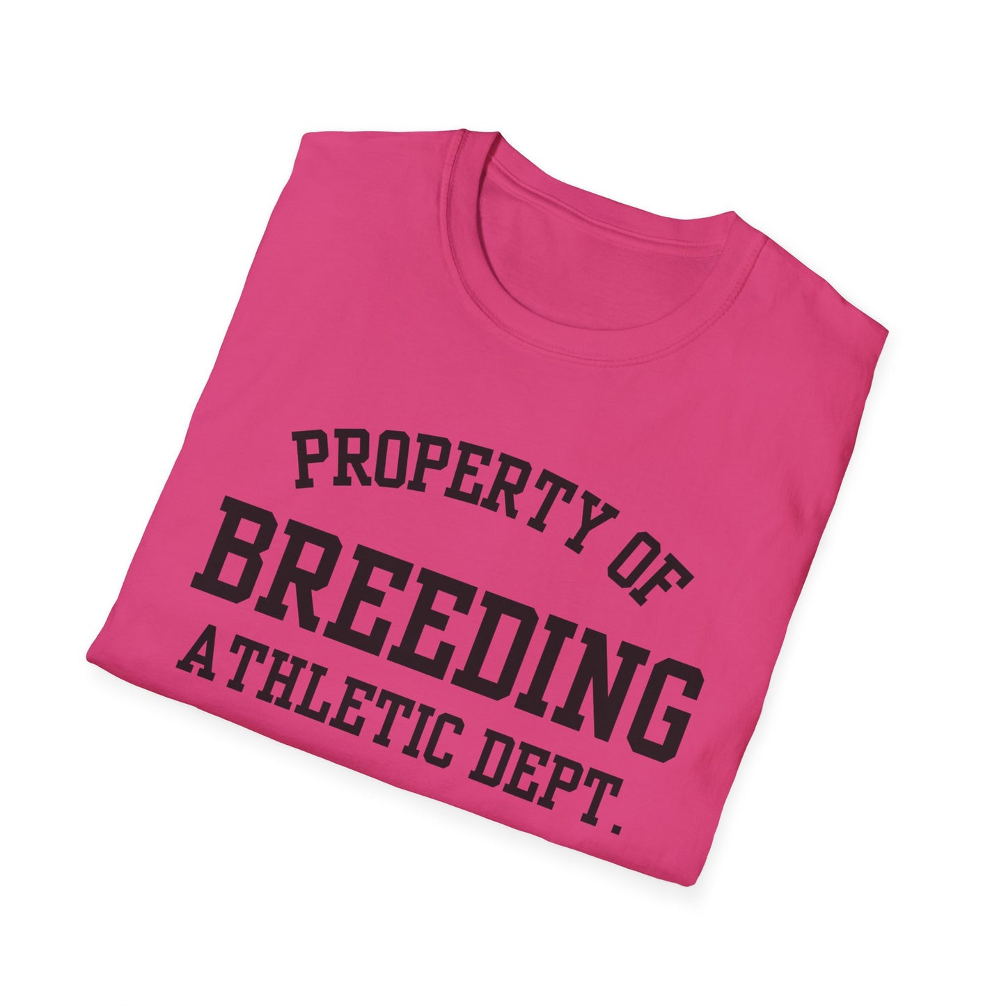 Breeding Funny City Name T-Shirt novelty t-shirt for adults gift for travelers road trip souvenir shirt funny city name shirt hometown pride shirt