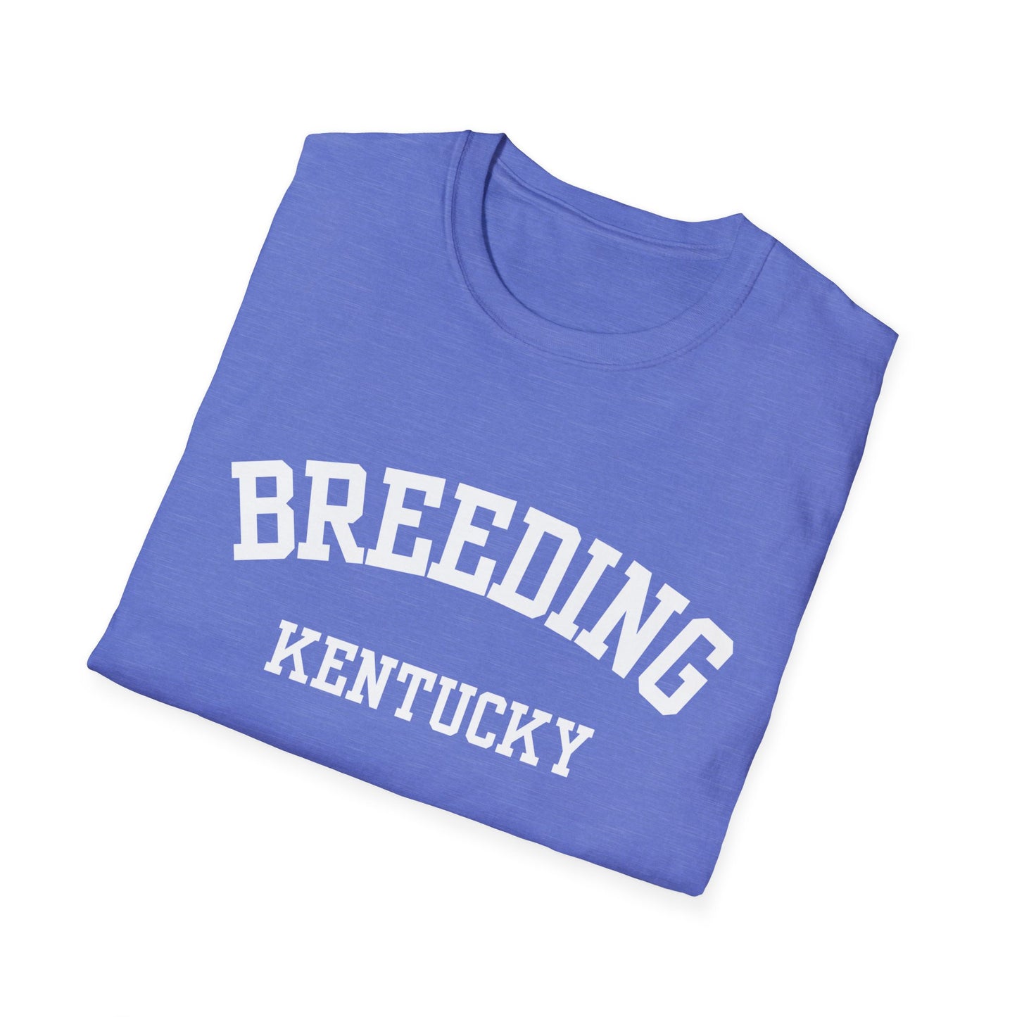 Breeding Funny City Name T-Shirt small town gift silly town tee travel gift tee gag gift tee sarcastic shirt ironic tee hometown humor