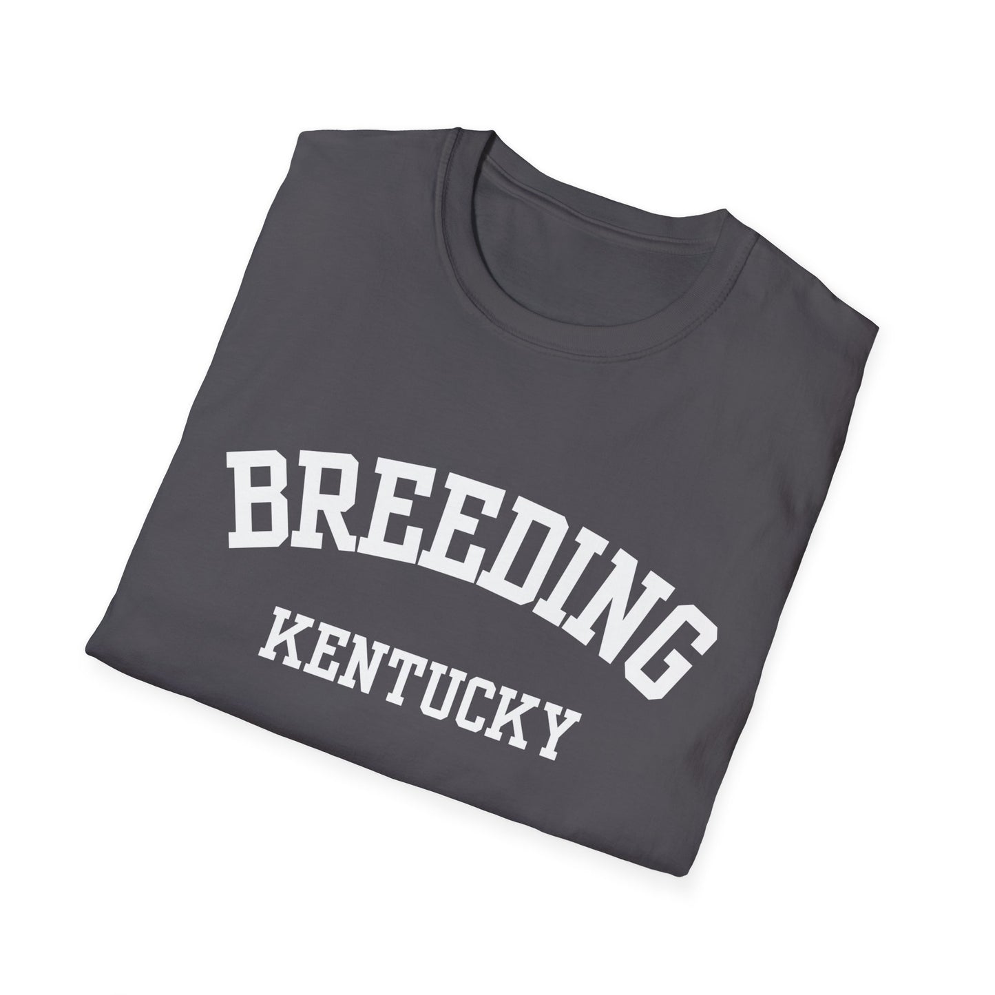 Breeding Funny City Name T-Shirt small town gift silly town tee travel gift tee gag gift tee sarcastic shirt ironic tee hometown humor