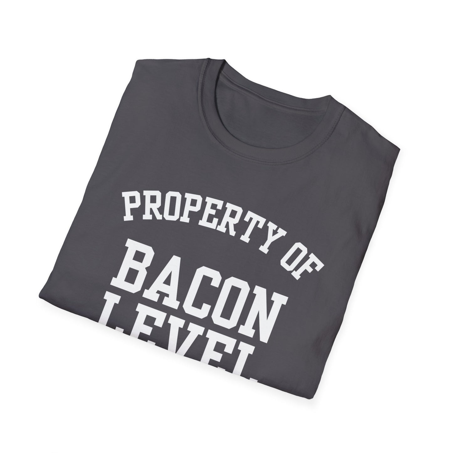 Bacon Level Funny City Name T-Shirt ironic tee quirky place tee local pride tee travel gift tee hometown humor novelty t-shirt small town gift
