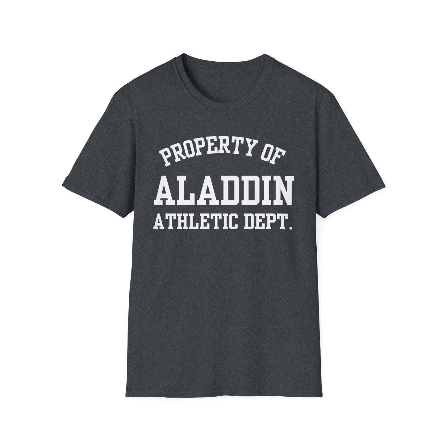 Aladdin Funny City Name T-Shirt novelty t-shirt local pride tee silly town tee custom city tee travel gift tee ironic tee quirky place tee