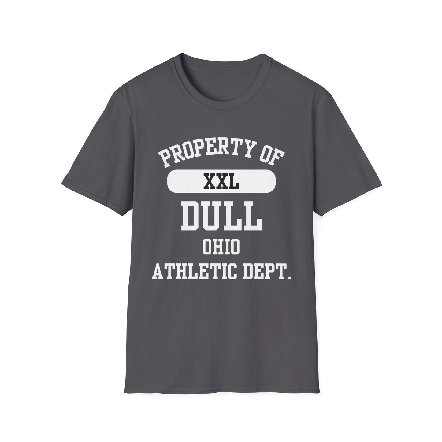 Dull Funny City Name T-Shirt ironic tee novelty t-shirt gag gift tee hometown humor silly town tee small town gift weird town shirt
