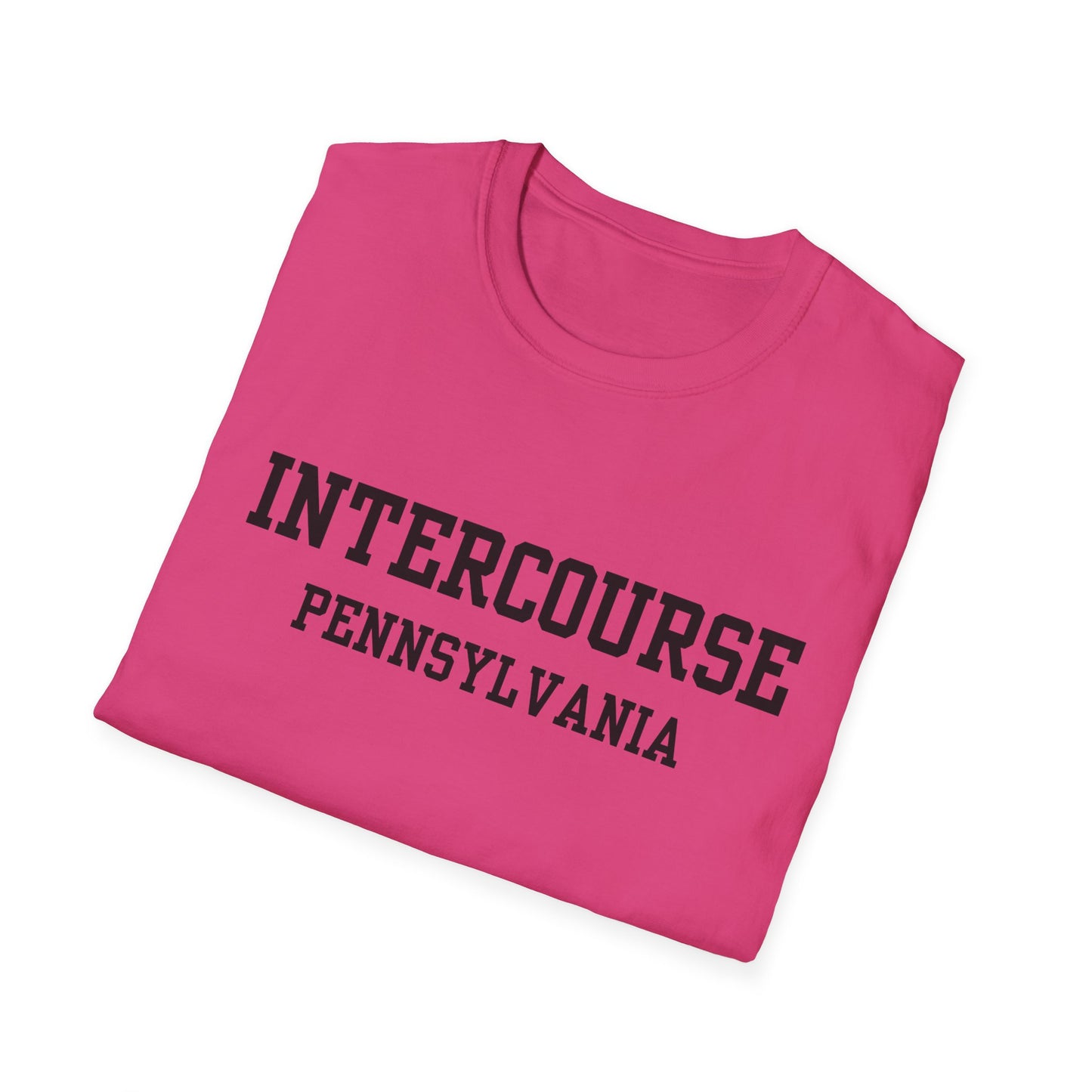 Intercourse Funny City Name T-Shirt gift for travelers unisex funny shirt hometown pride shirt retro city name shirt sarcastic graphic tee