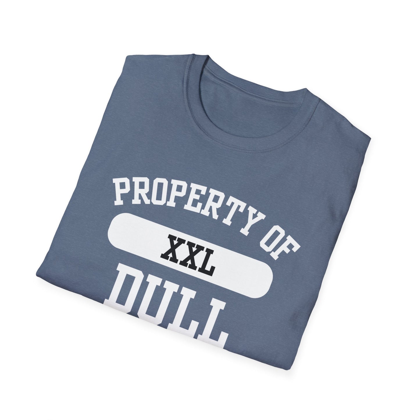 Dull Funny City Name T-Shirt ironic tee novelty t-shirt gag gift tee hometown humor silly town tee small town gift weird town shirt