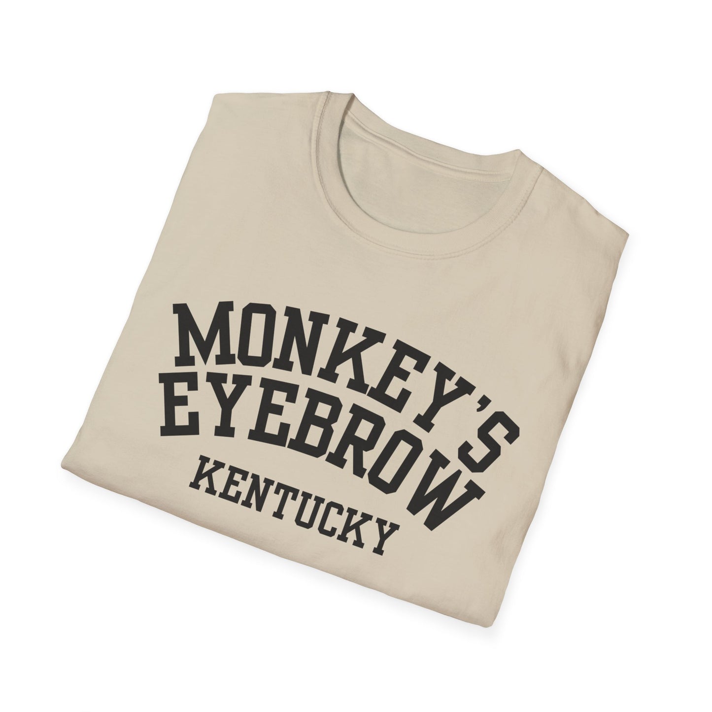 Monkey's Eyebrow Funny City Name T-Shirt quirky town shirt retro city name shirt unisex funny shirt funny city name shirt sarcastic graphic tee