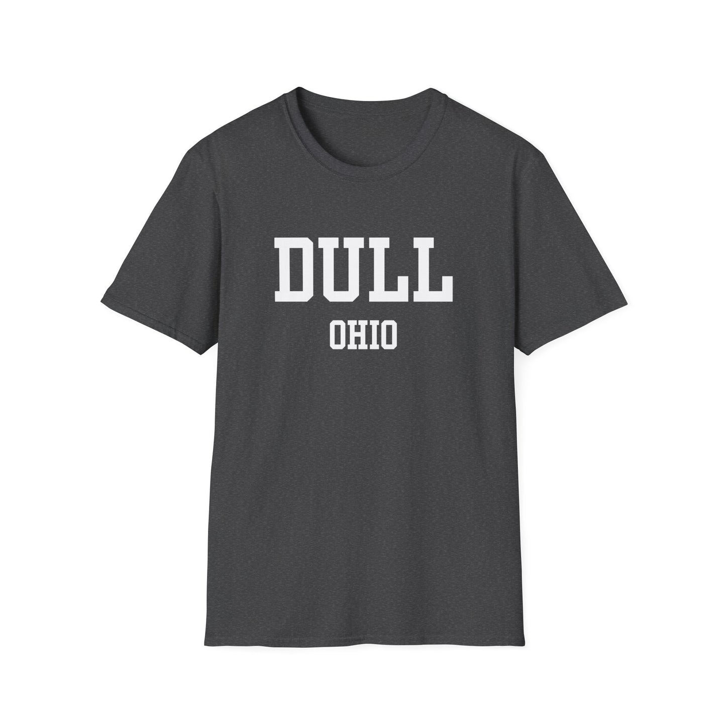 Dull Funny City Name T-Shirt small town gift ironic tee gag gift tee quirky place tee travel gift tee funny city name sarcastic shirt
