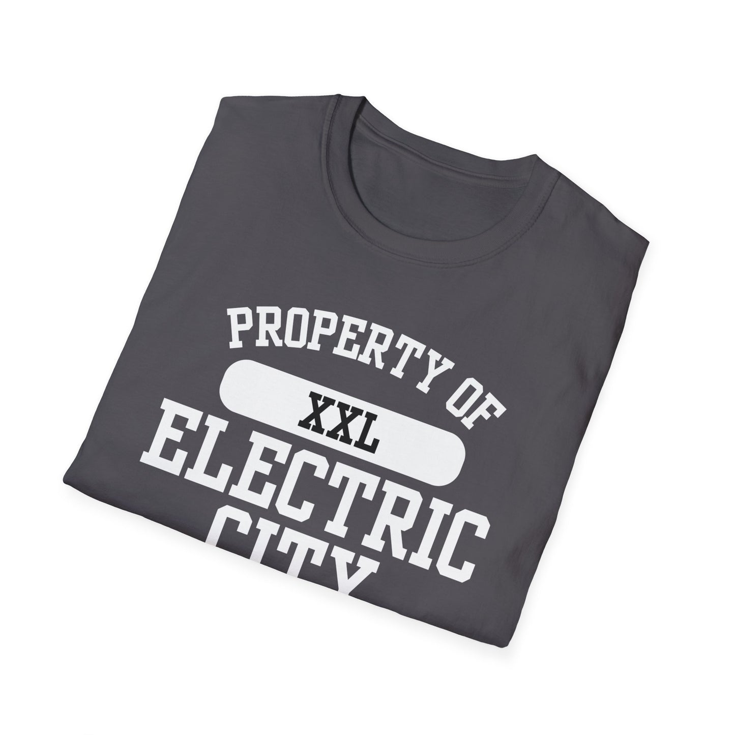 Electric City Funny City Name T-Shirt weird town shirt funny city name local pride tee hometown humor travel gift tee gag gift tee