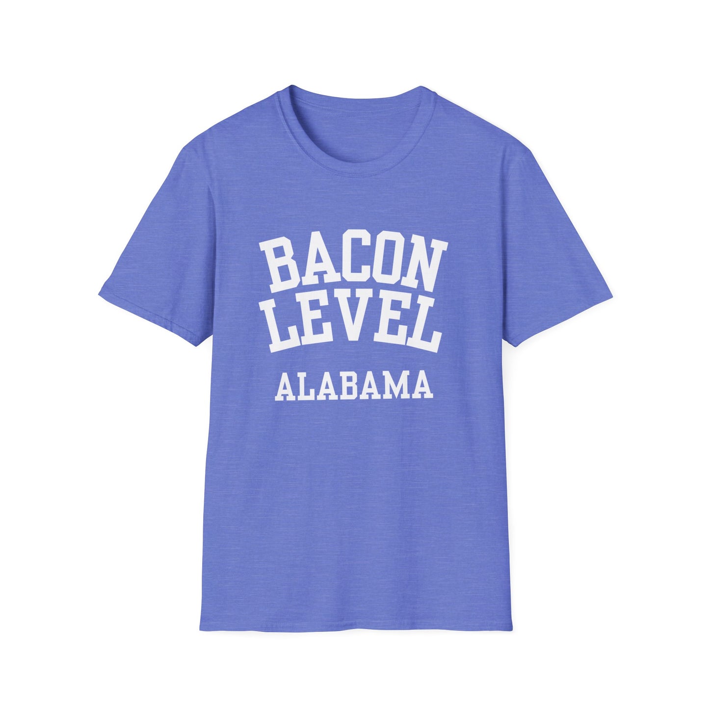 Bacon Level Funny City Name T-Shirt weird town shirt sarcastic shirt silly town tee local pride tee funny city name travel gift tee small town gift