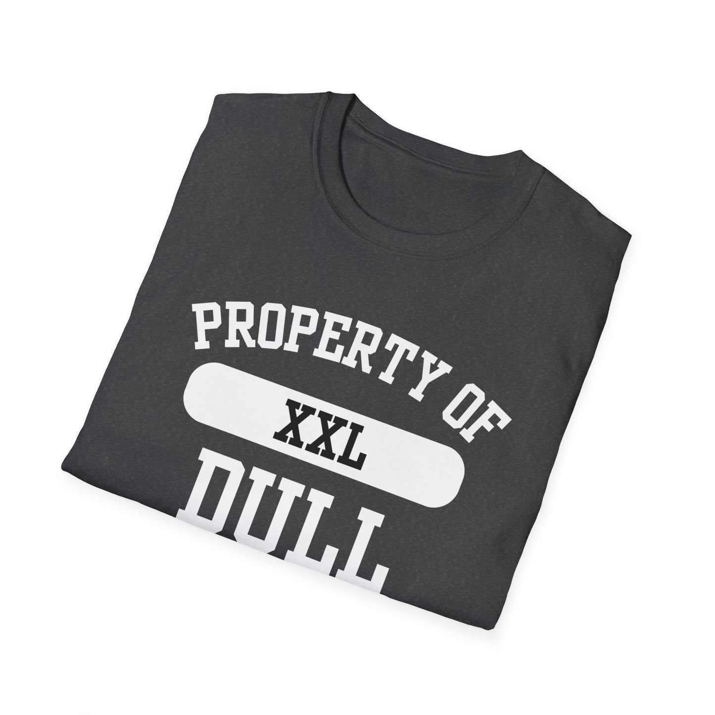Dull Funny City Name T-Shirt ironic tee novelty t-shirt gag gift tee hometown humor silly town tee small town gift weird town shirt