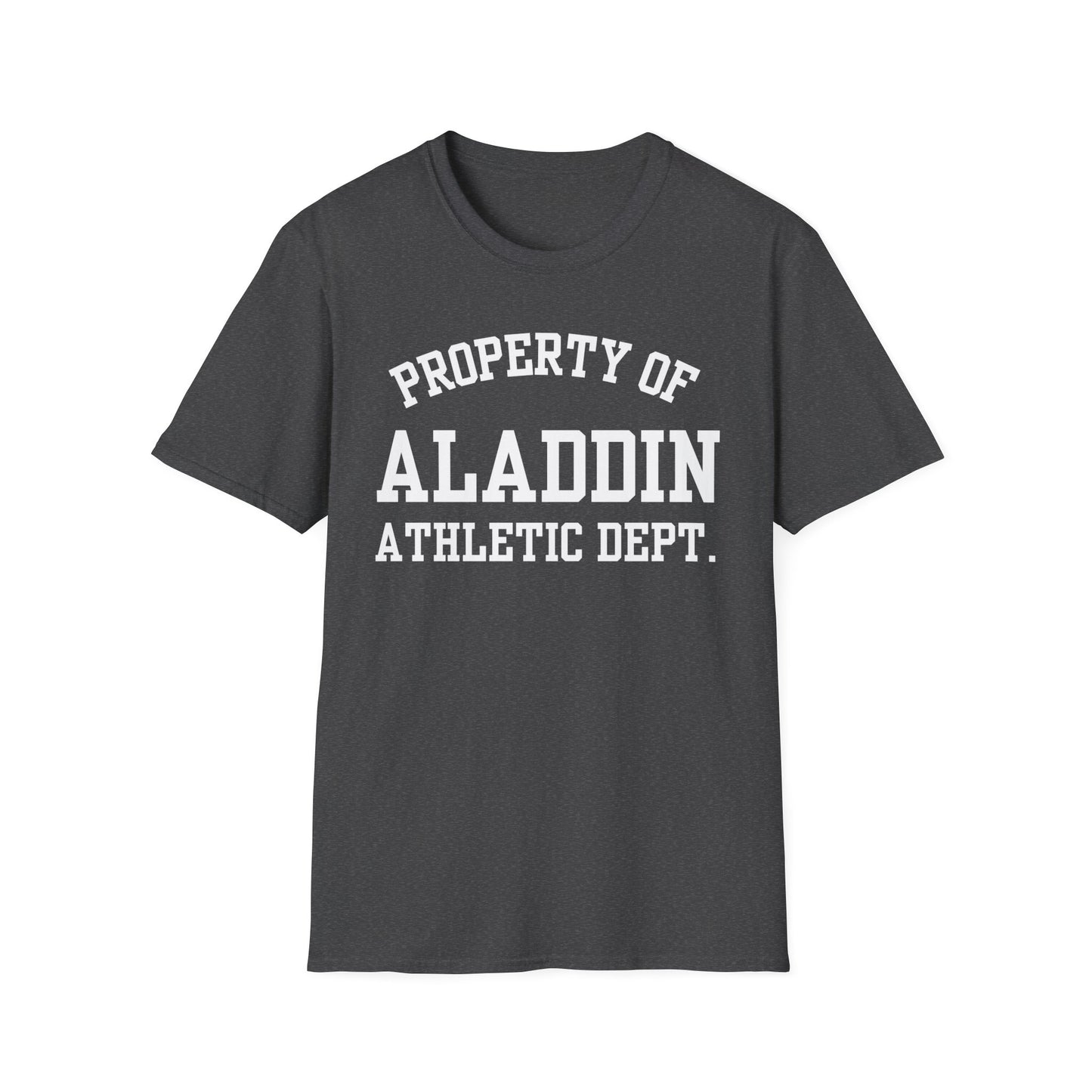 Aladdin Funny City Name T-Shirt novelty t-shirt local pride tee silly town tee custom city tee travel gift tee ironic tee quirky place tee