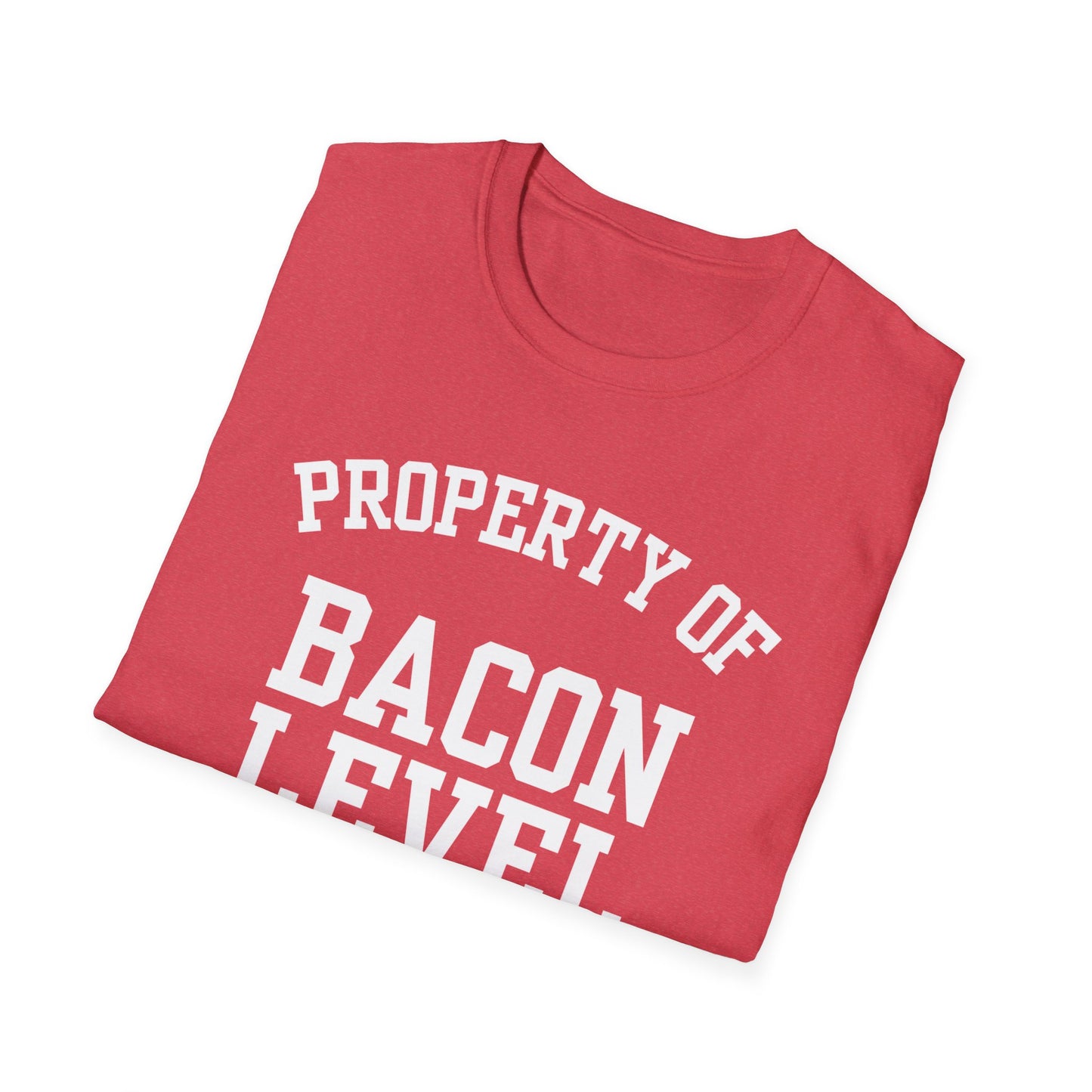Bacon Level Funny City Name T-Shirt ironic tee quirky place tee local pride tee travel gift tee hometown humor novelty t-shirt small town gift