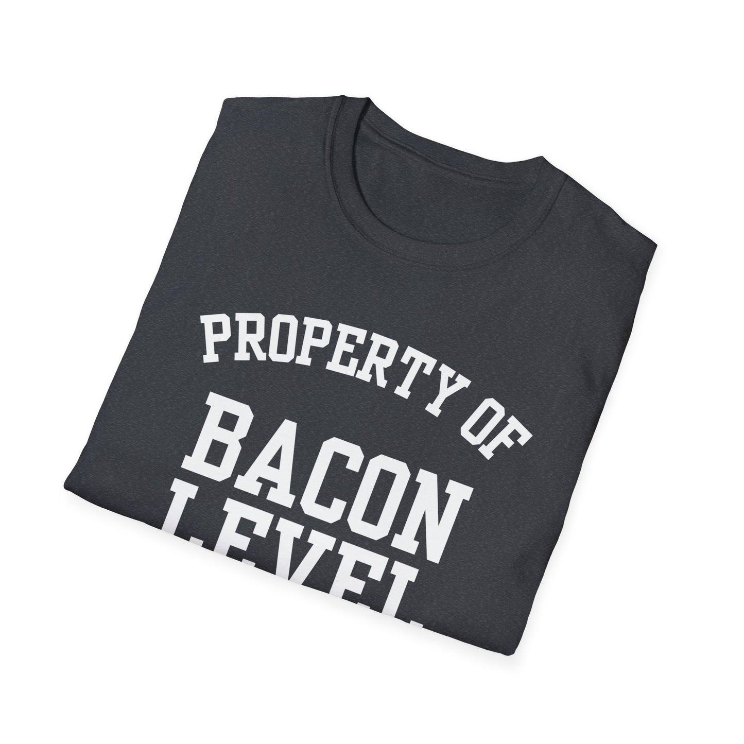 Bacon Level Funny City Name T-Shirt ironic tee quirky place tee local pride tee travel gift tee hometown humor novelty t-shirt small town gift