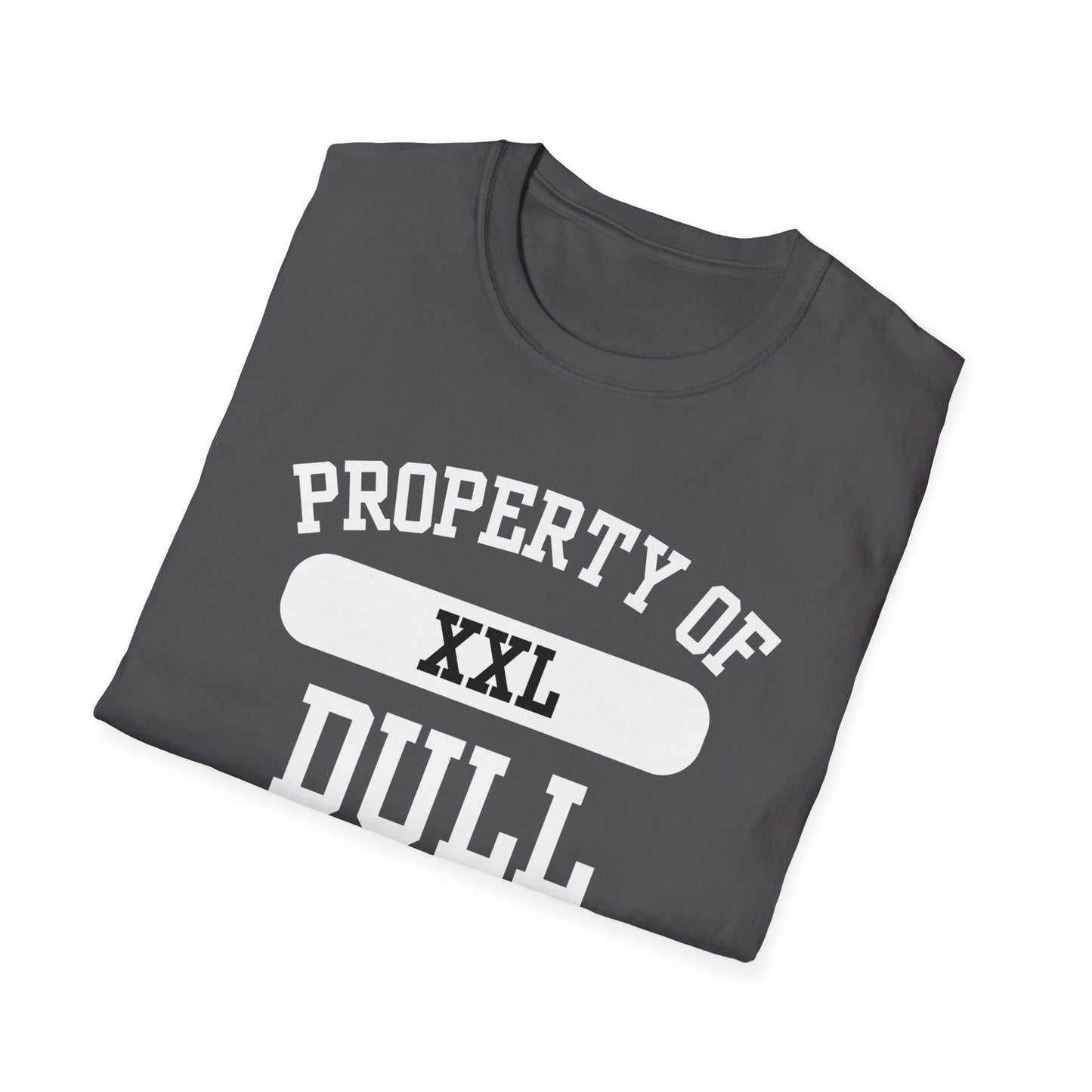 Dull Funny City Name T-Shirt ironic tee novelty t-shirt gag gift tee hometown humor silly town tee small town gift weird town shirt