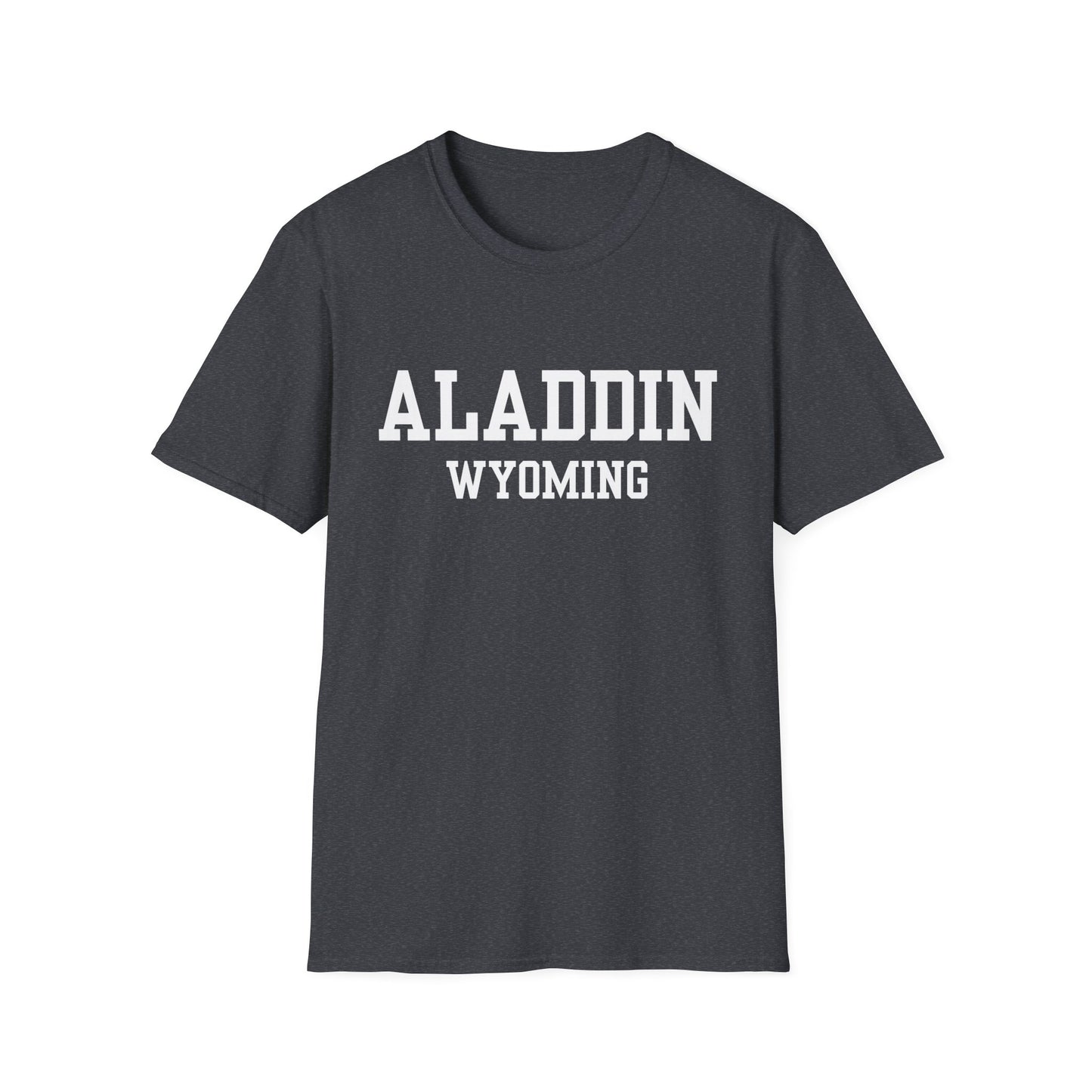 Aladdin Funny City Name T-Shirt silly town tee small town gift hometown humor novelty t-shirt gag gift tee travel gift tee weird town shirt