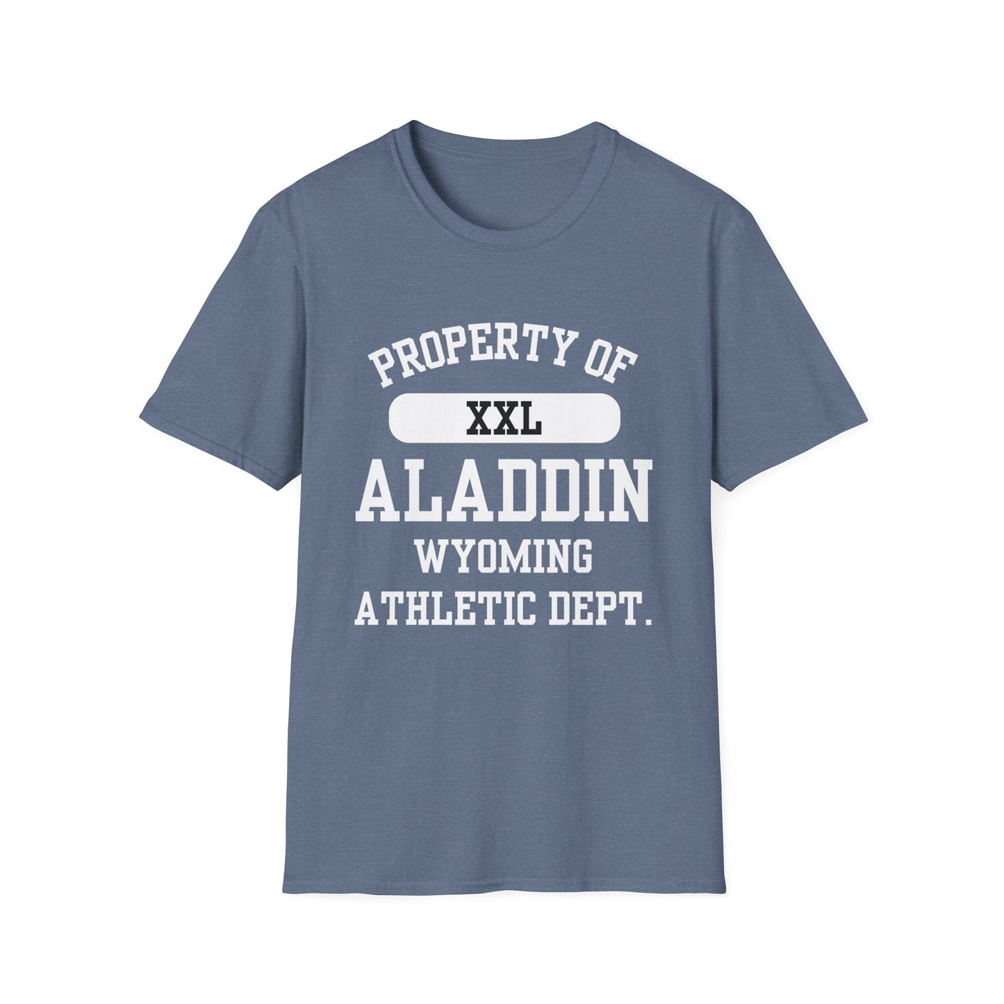 Aladdin Funny City Name T-Shirt ironic tee silly town tee quirky place tee sarcastic shirt travel gift tee funny city name custom city tee