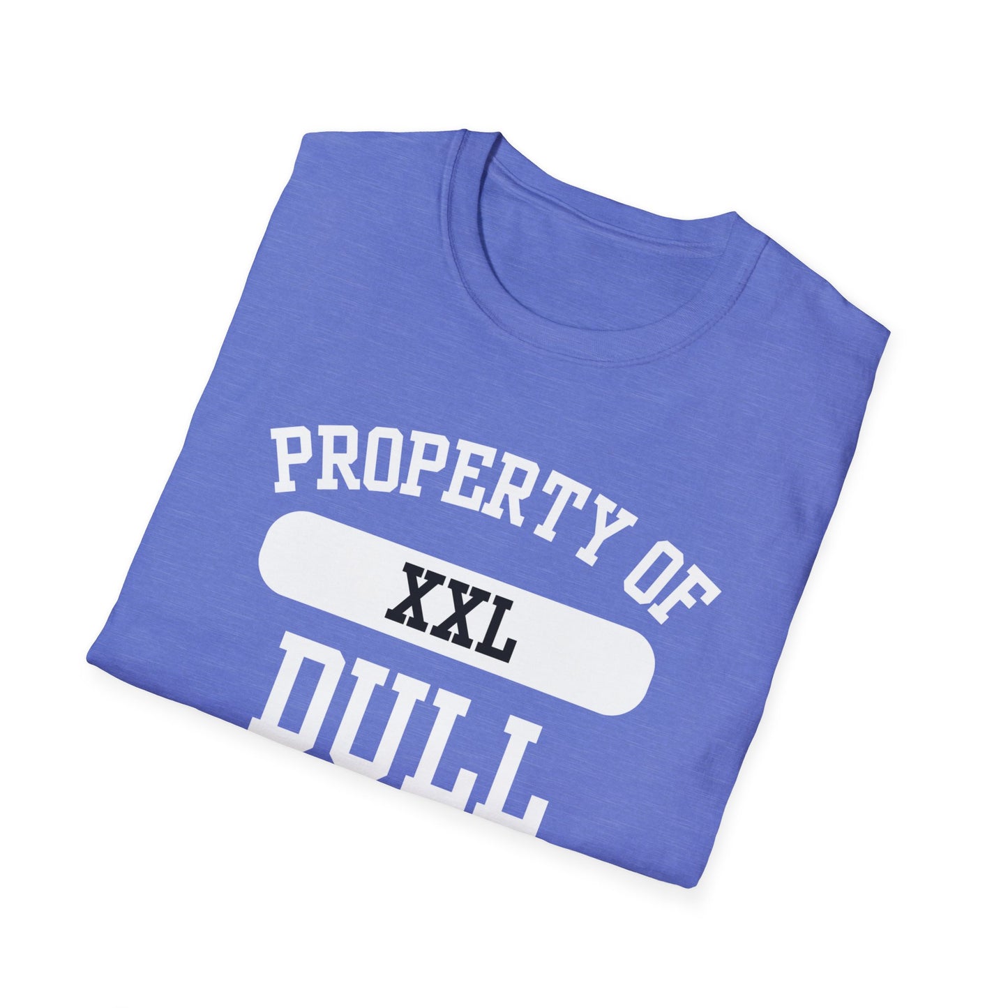Dull Funny City Name T-Shirt ironic tee novelty t-shirt gag gift tee hometown humor silly town tee small town gift weird town shirt